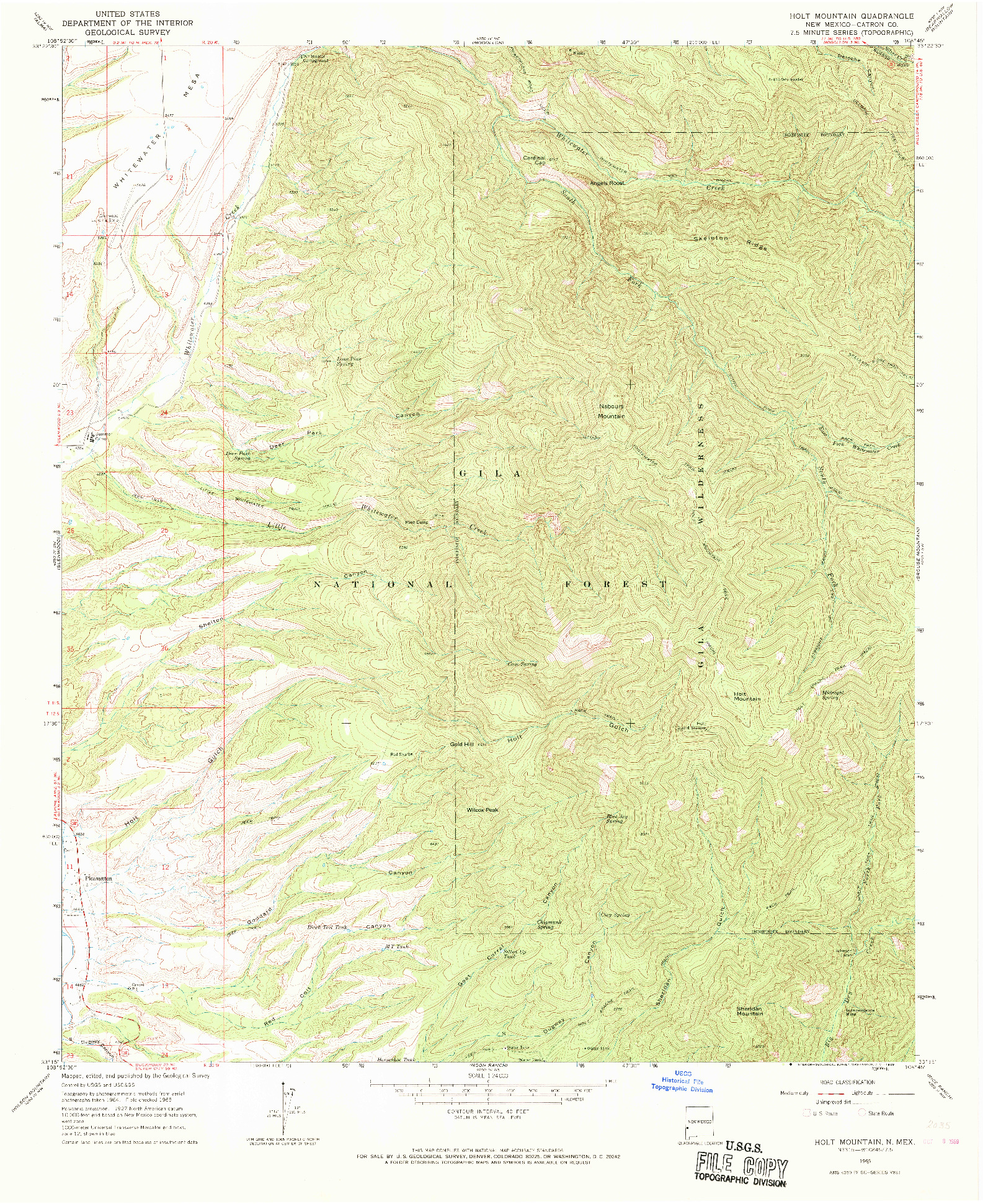 USGS 1:24000-SCALE QUADRANGLE FOR HOLT MOUNTAIN, NM 1965