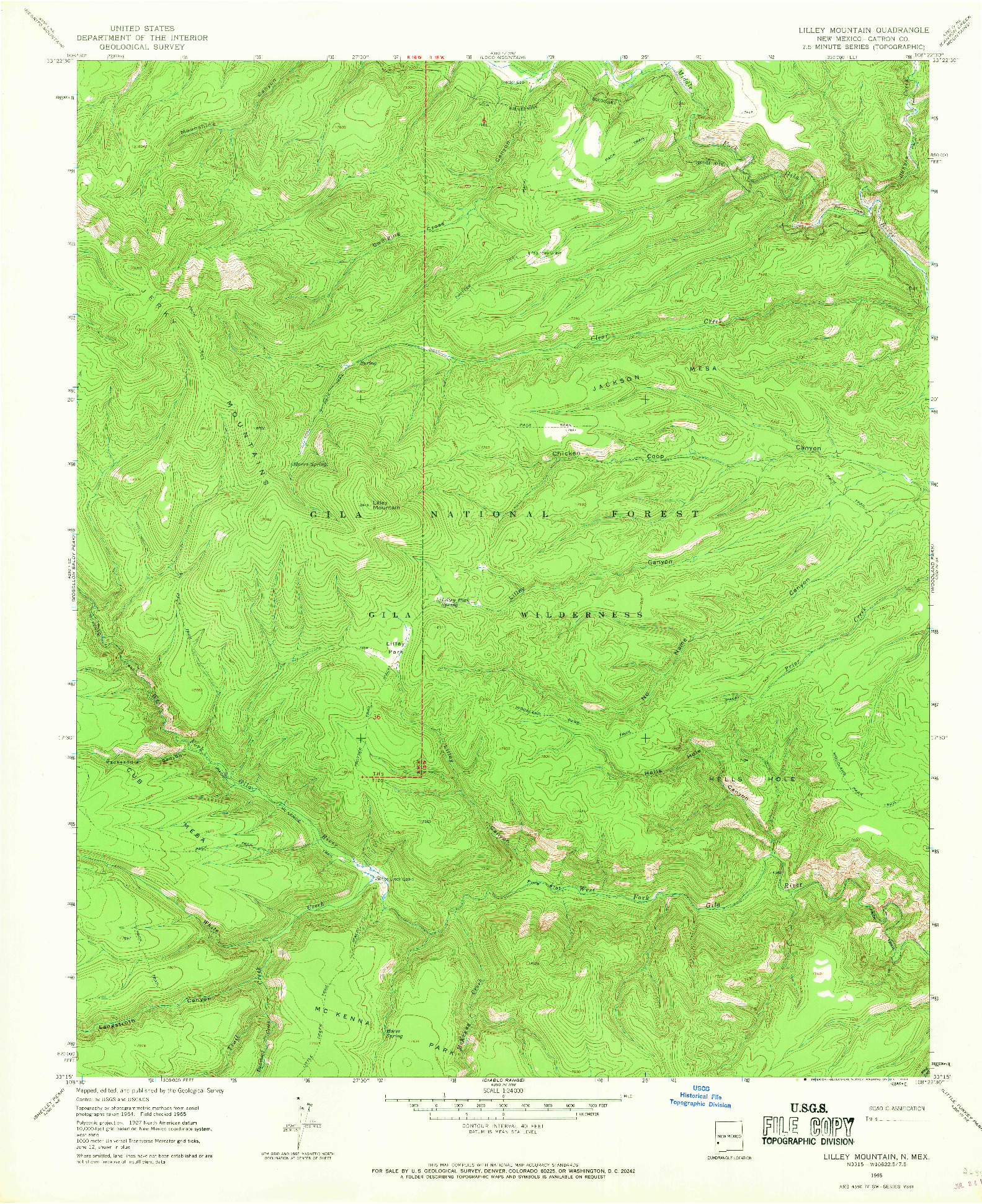 USGS 1:24000-SCALE QUADRANGLE FOR LILLEY MOUNTAIN, NM 1965