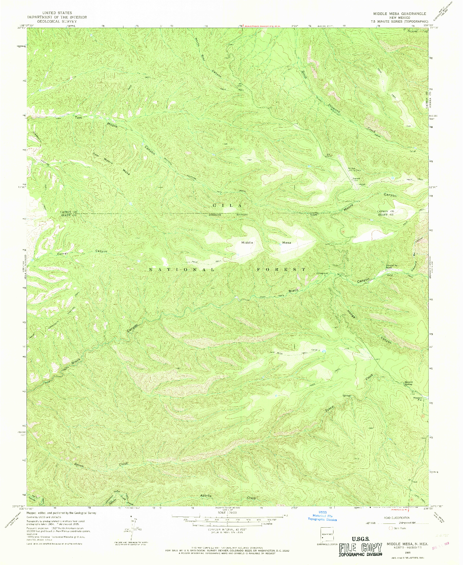 USGS 1:24000-SCALE QUADRANGLE FOR MIDDLE MESA, NM 1965