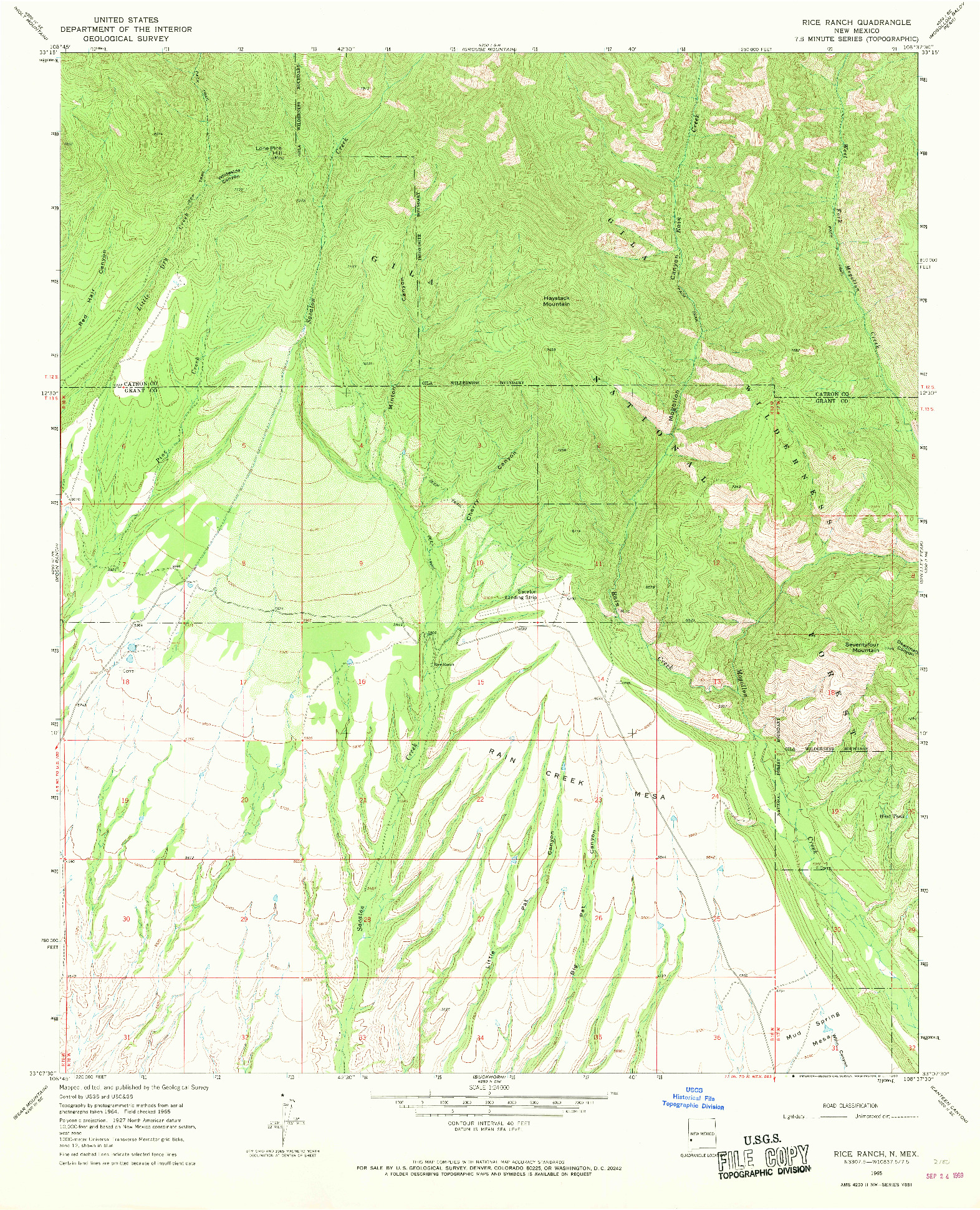 USGS 1:24000-SCALE QUADRANGLE FOR RICE RANCH, NM 1965