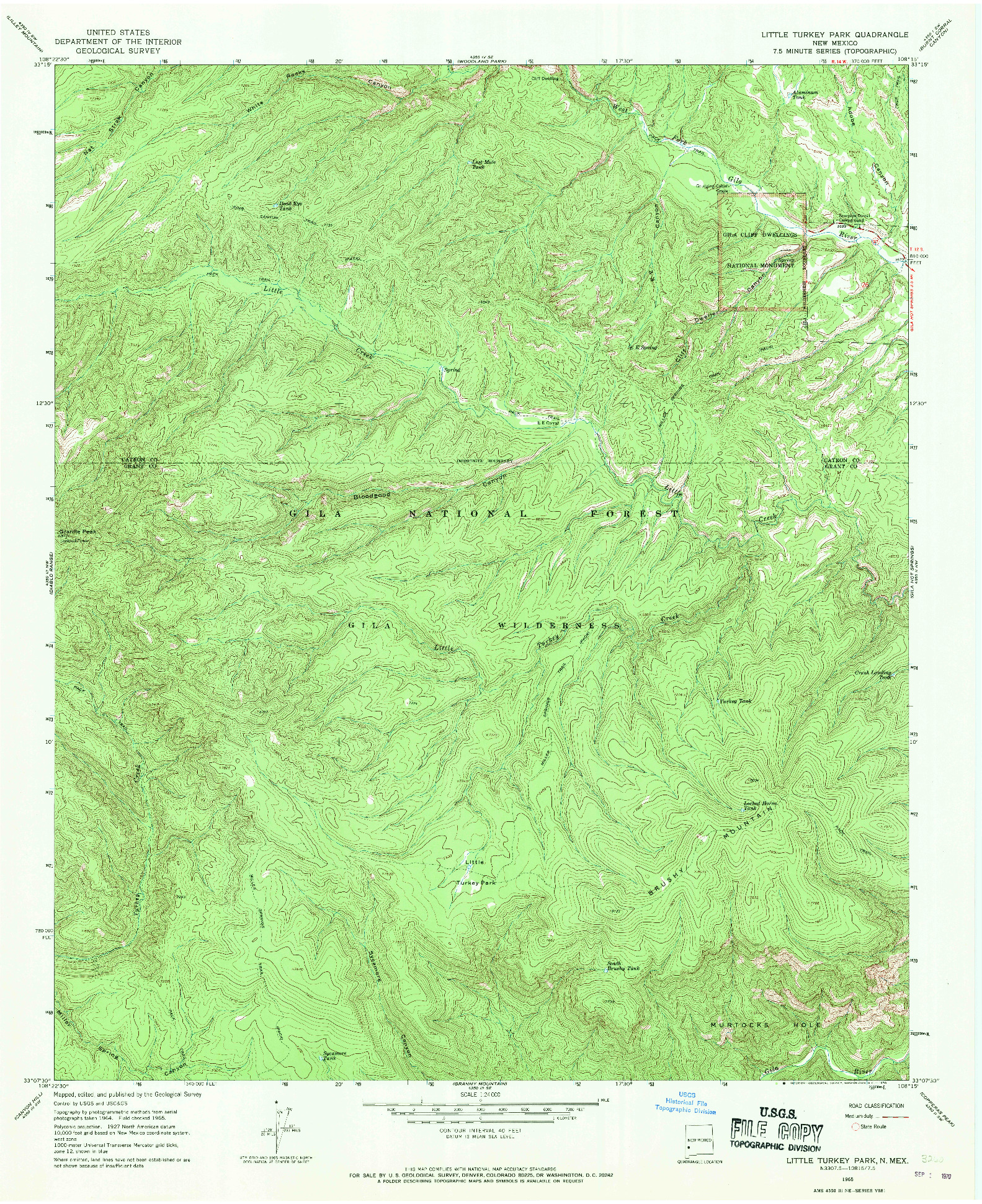 USGS 1:24000-SCALE QUADRANGLE FOR LITTLE TURKEY PARK, NM 1965