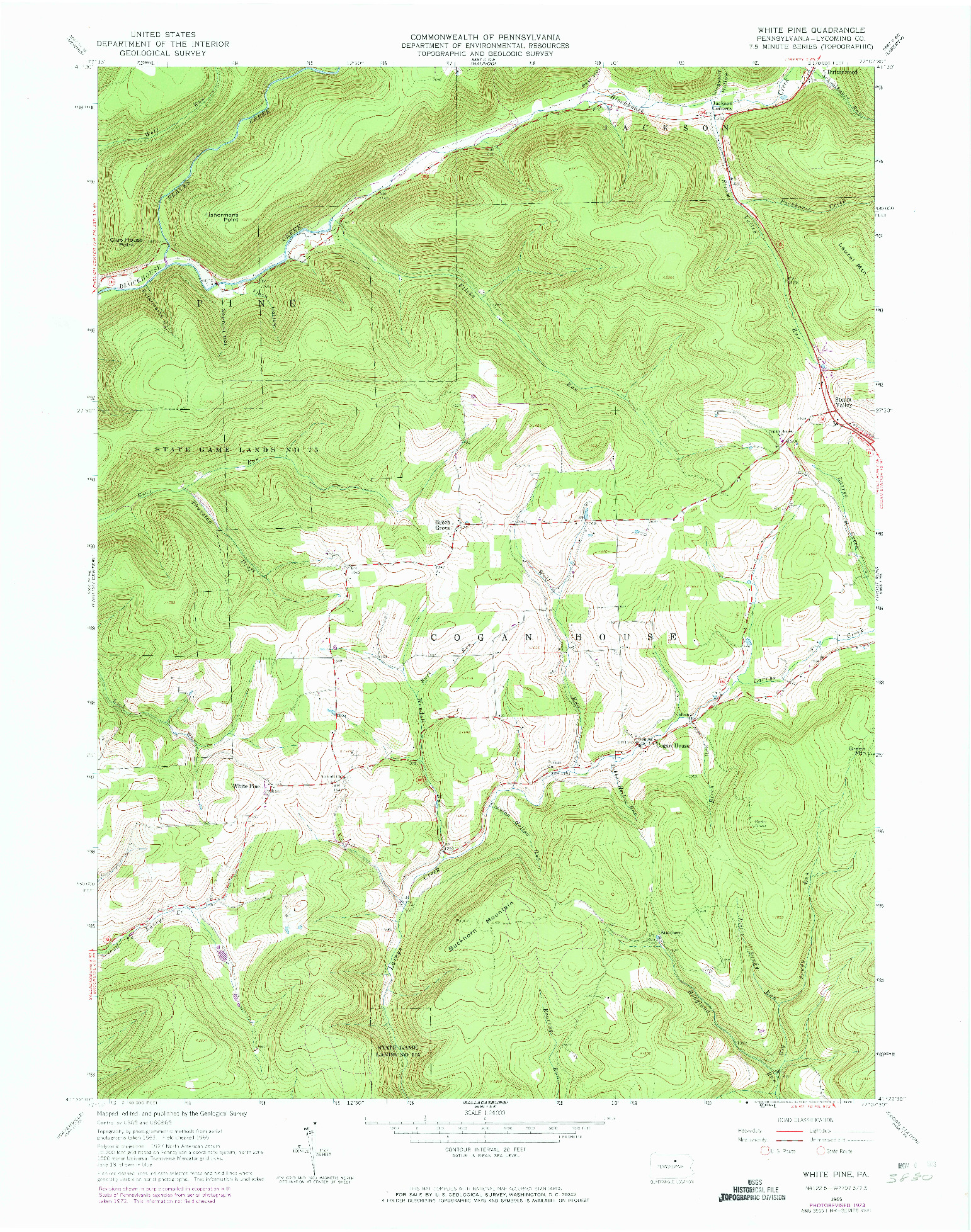 USGS 1:24000-SCALE QUADRANGLE FOR WHITE PINE, PA 1965