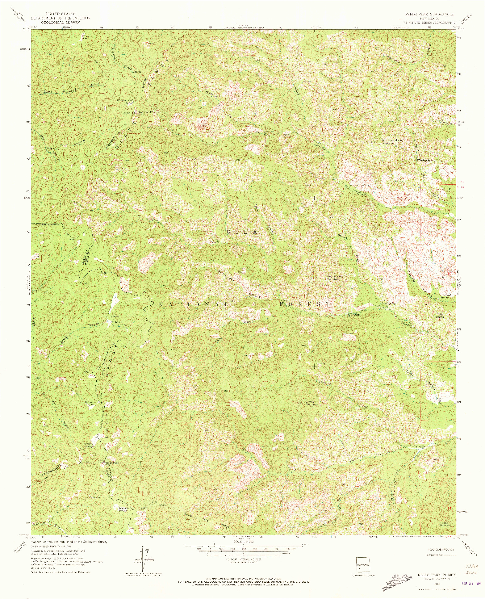 USGS 1:24000-SCALE QUADRANGLE FOR REEDS PEAK, NM 1963