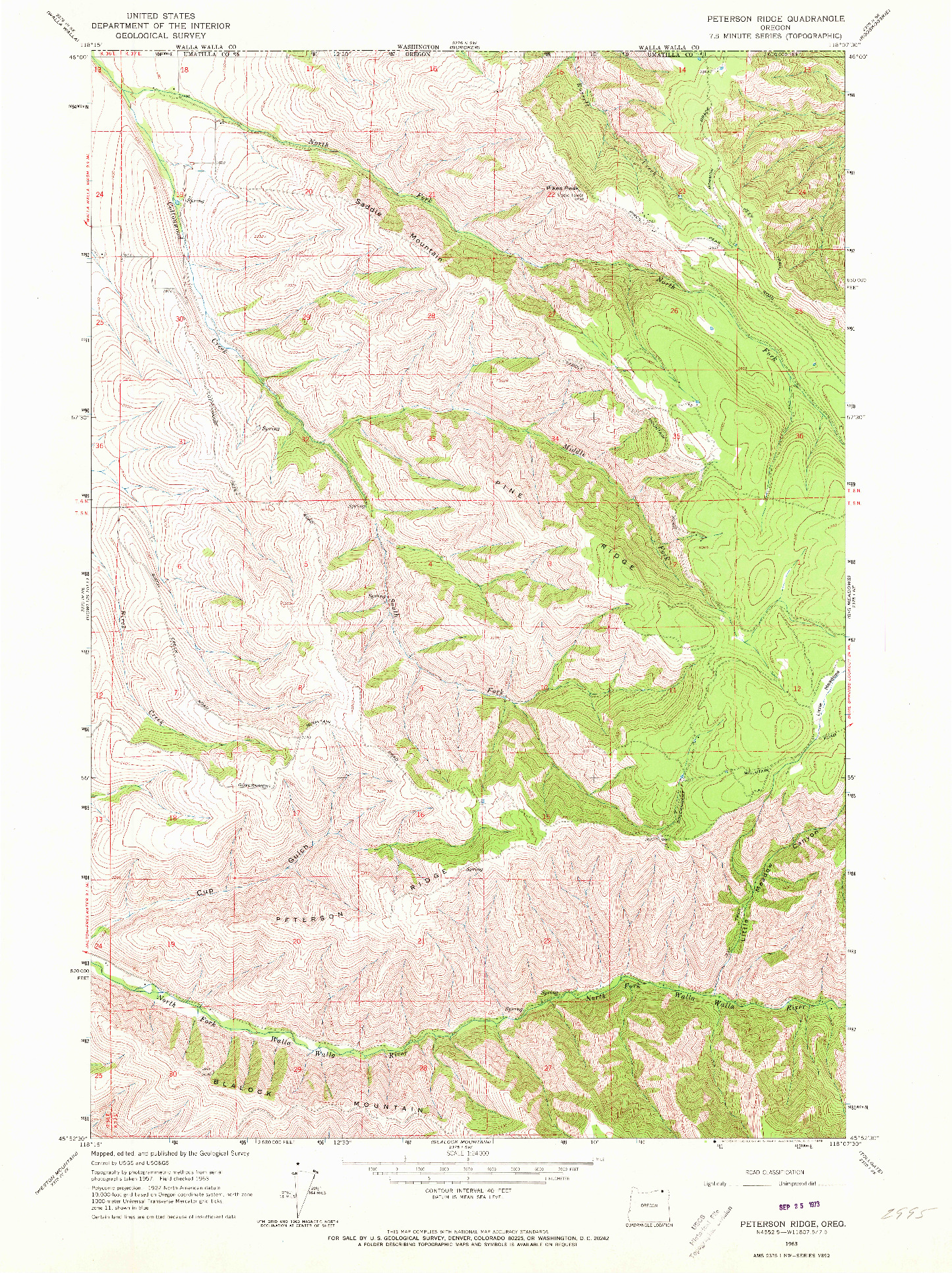 USGS 1:24000-SCALE QUADRANGLE FOR PETERSON RIDGE, OR 1963