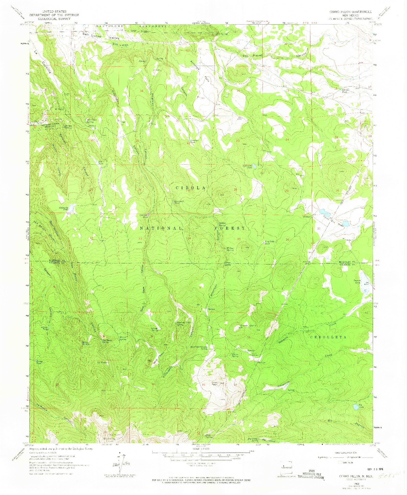 USGS 1:24000-SCALE QUADRANGLE FOR CERRO PELON, NM 1963