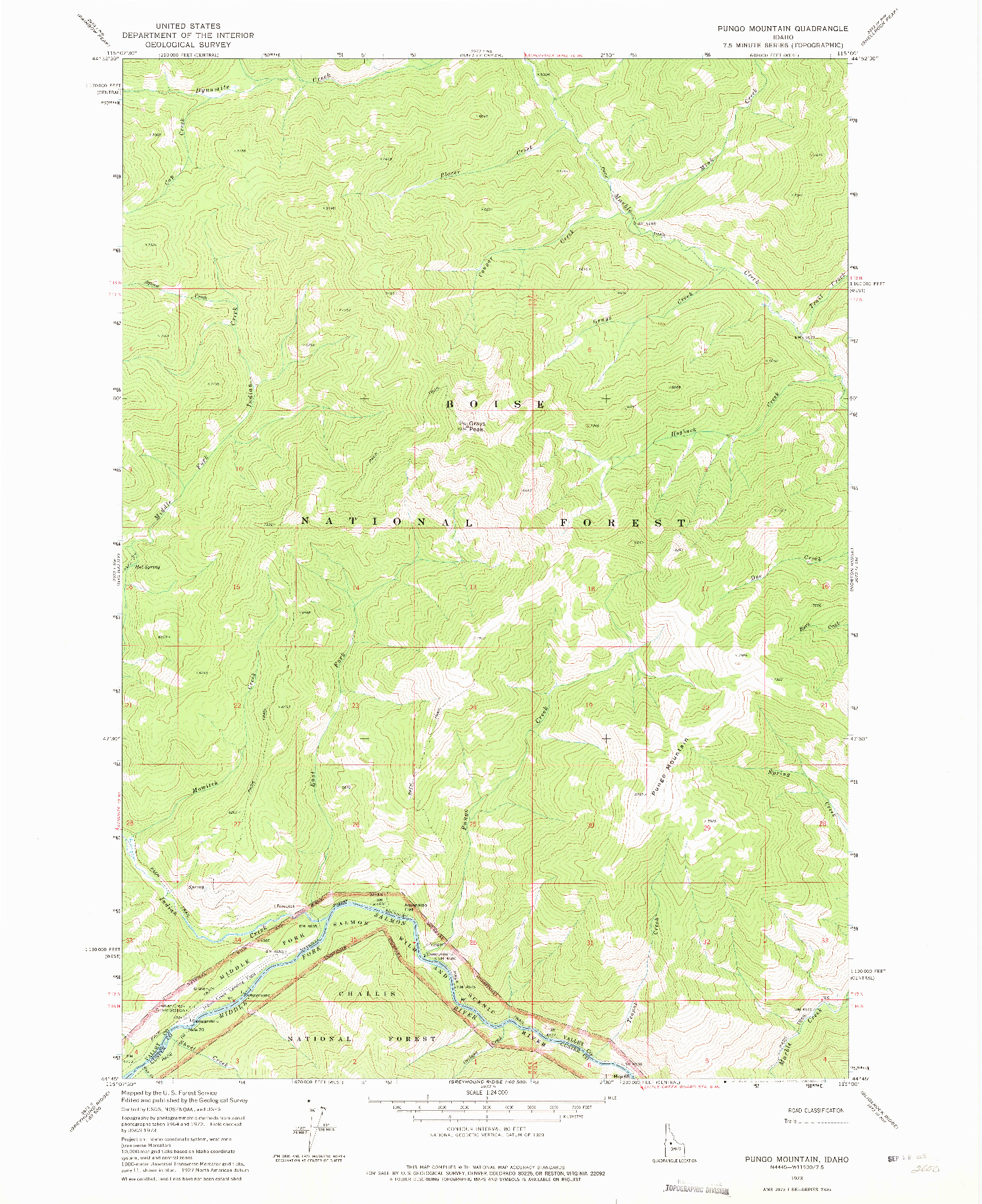 USGS 1:24000-SCALE QUADRANGLE FOR PUNGO MOUNTAIN, ID 1973