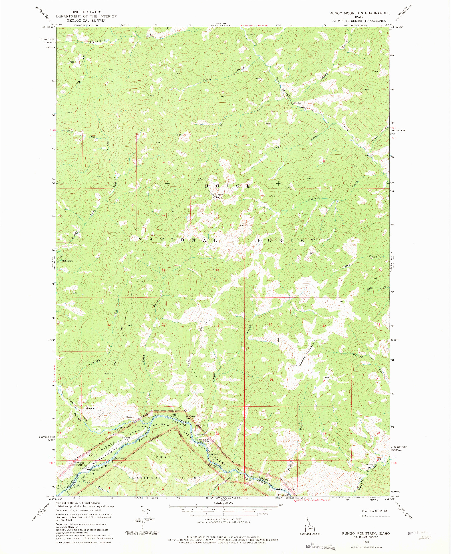 USGS 1:24000-SCALE QUADRANGLE FOR PUNGO MOUNTAIN, ID 1973