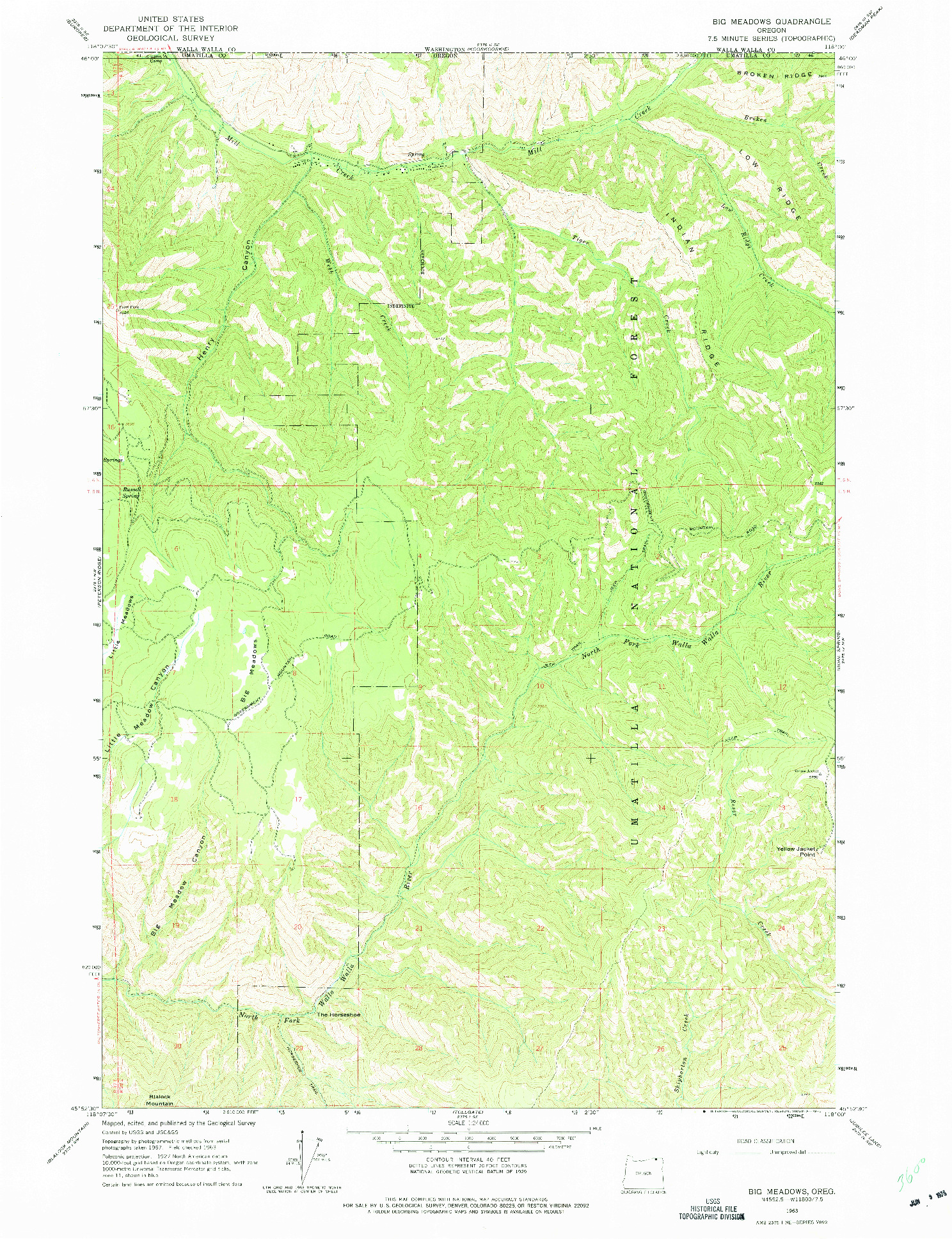 USGS 1:24000-SCALE QUADRANGLE FOR BIG MEADOWS, OR 1963