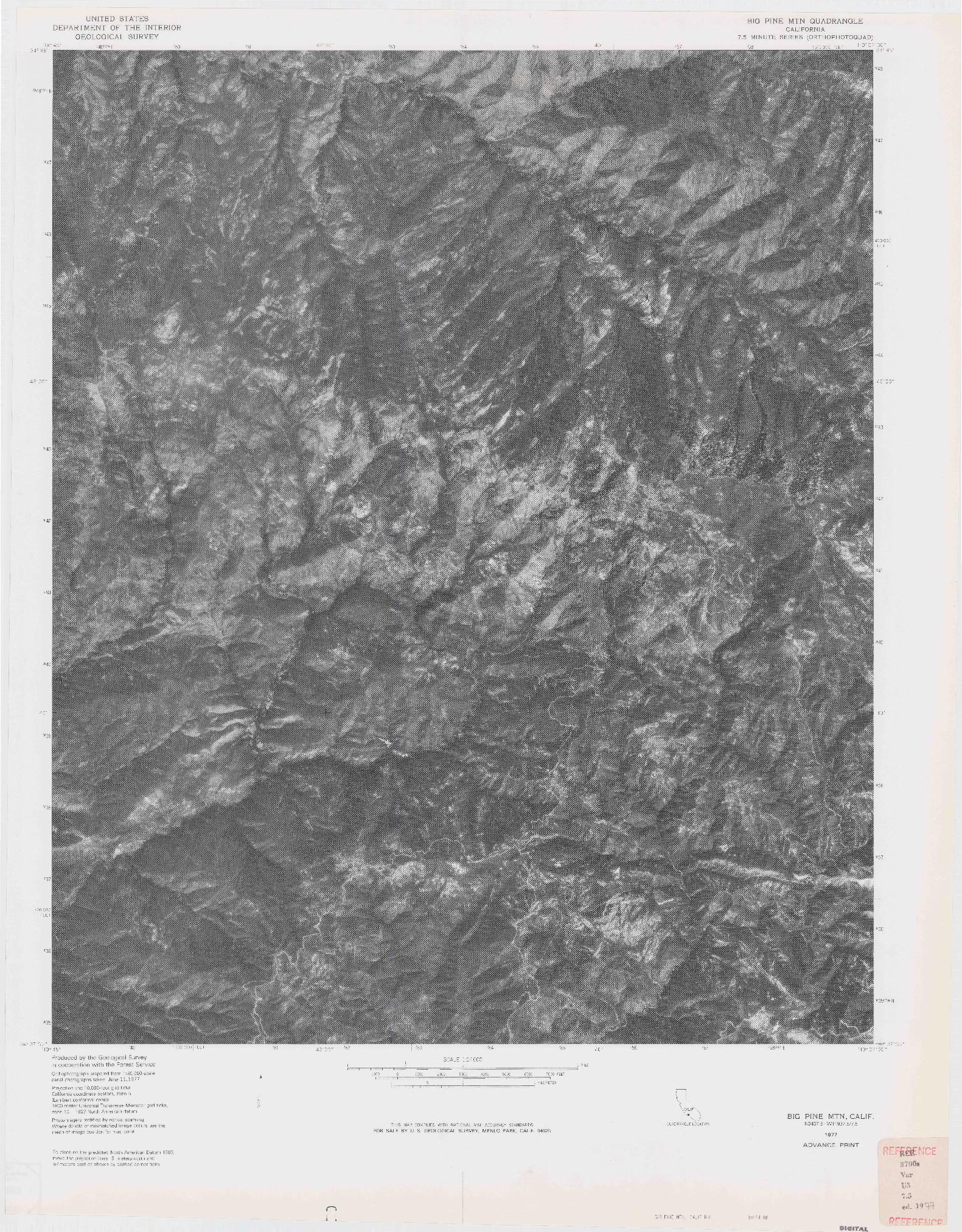 USGS 1:24000-SCALE QUADRANGLE FOR BIG PINE MTN, CA 1977