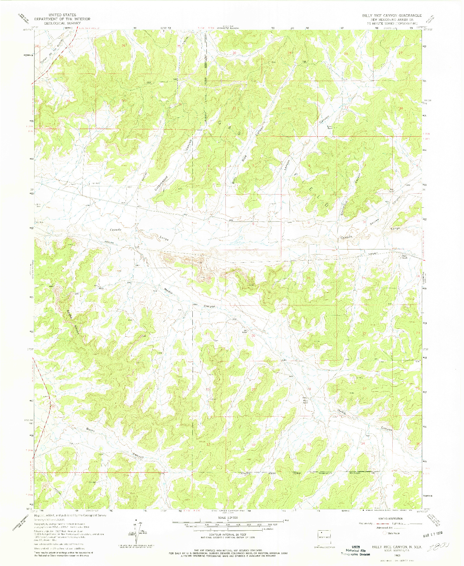 USGS 1:24000-SCALE QUADRANGLE FOR BILLY RICE CANYON, NM 1963