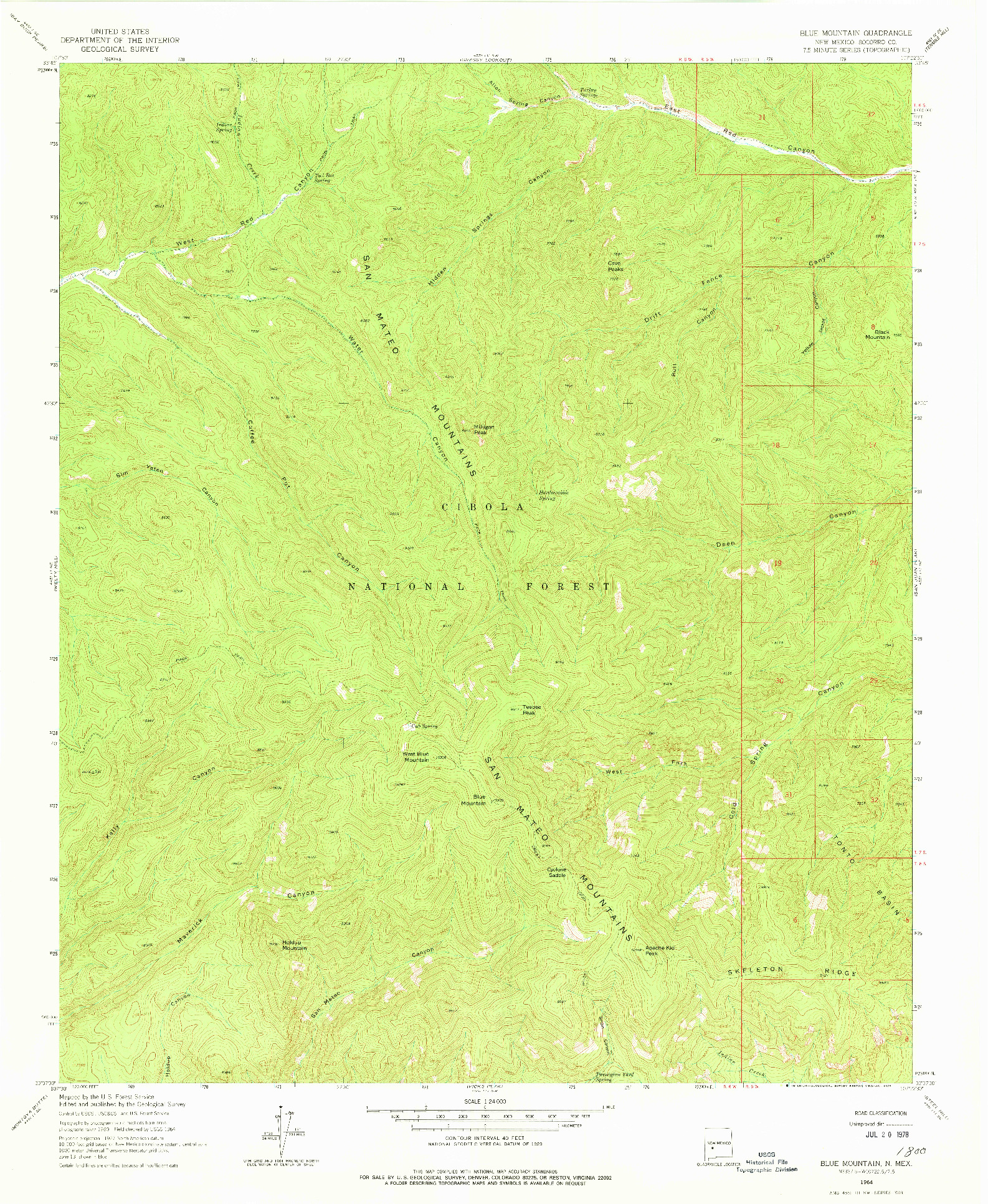 USGS 1:24000-SCALE QUADRANGLE FOR BLUE MOUNTAIN, NM 1964