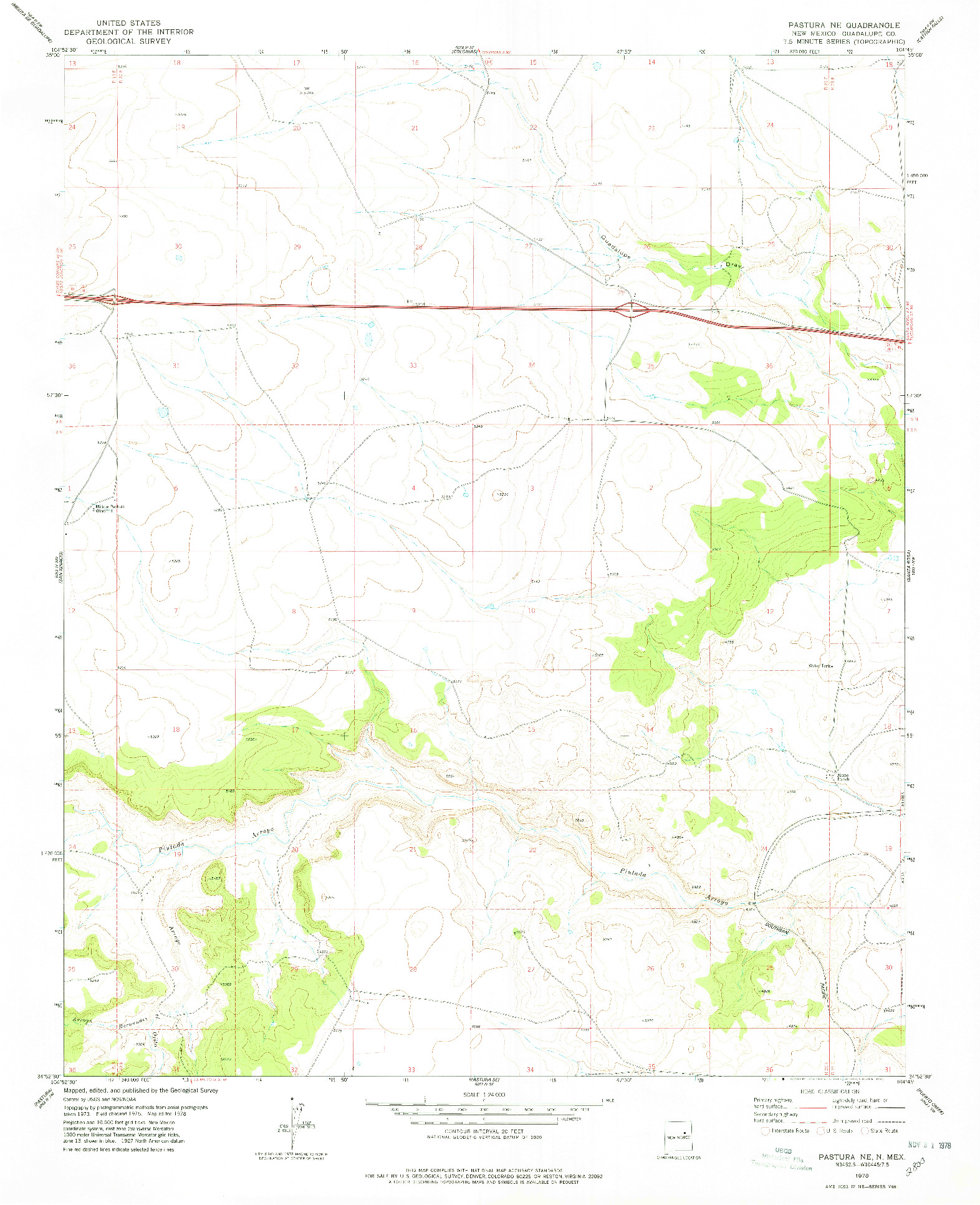 USGS 1:24000-SCALE QUADRANGLE FOR PASTURA NE, NM 1978