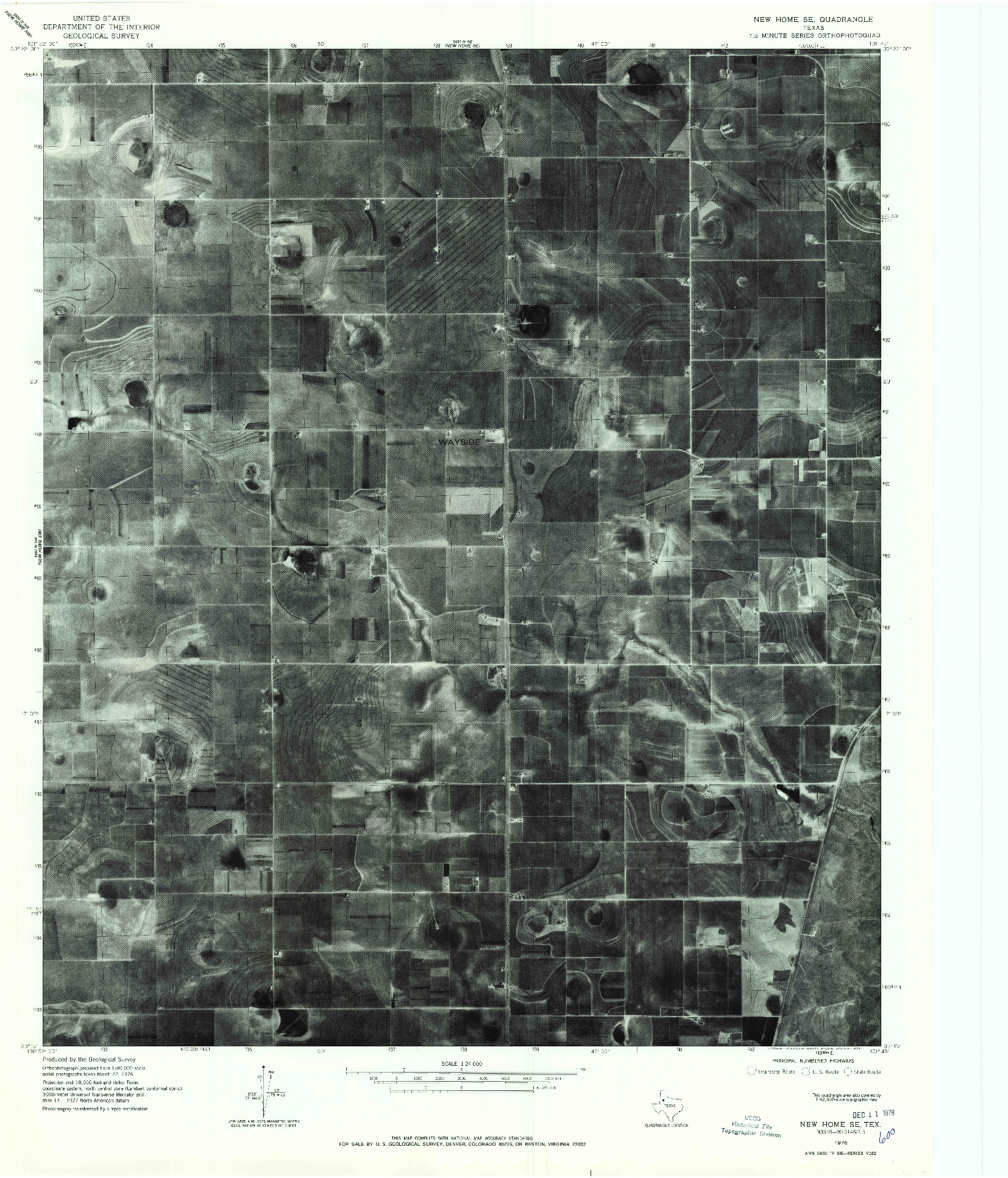 USGS 1:24000-SCALE QUADRANGLE FOR NEW HOME SE, TX 1976