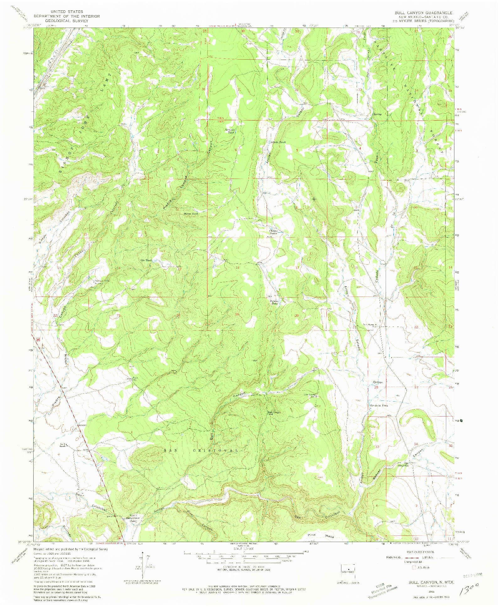 USGS 1:24000-SCALE QUADRANGLE FOR BULL CANYON, NM 1966