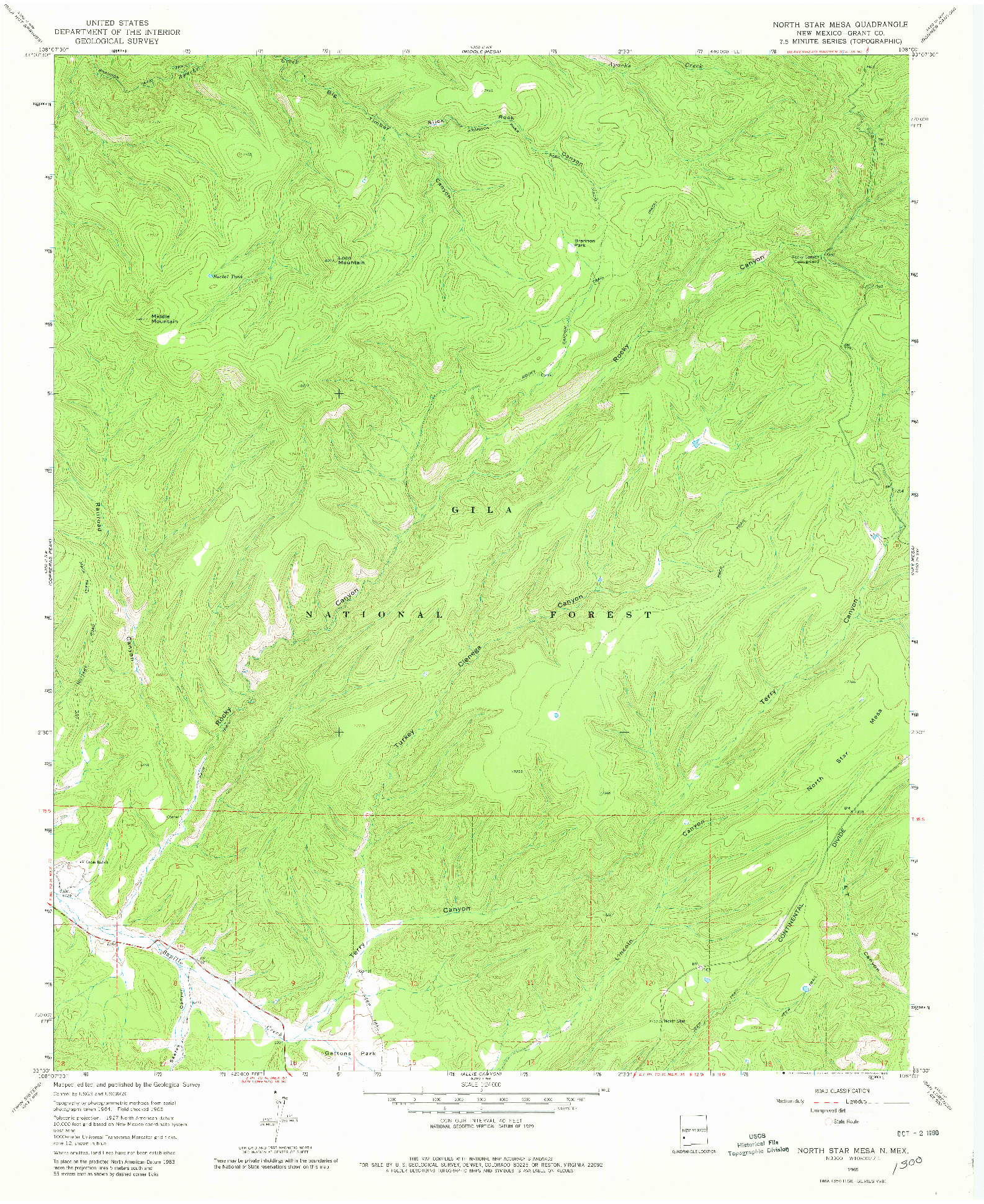 USGS 1:24000-SCALE QUADRANGLE FOR NORTH STAR MESA, NM 1965