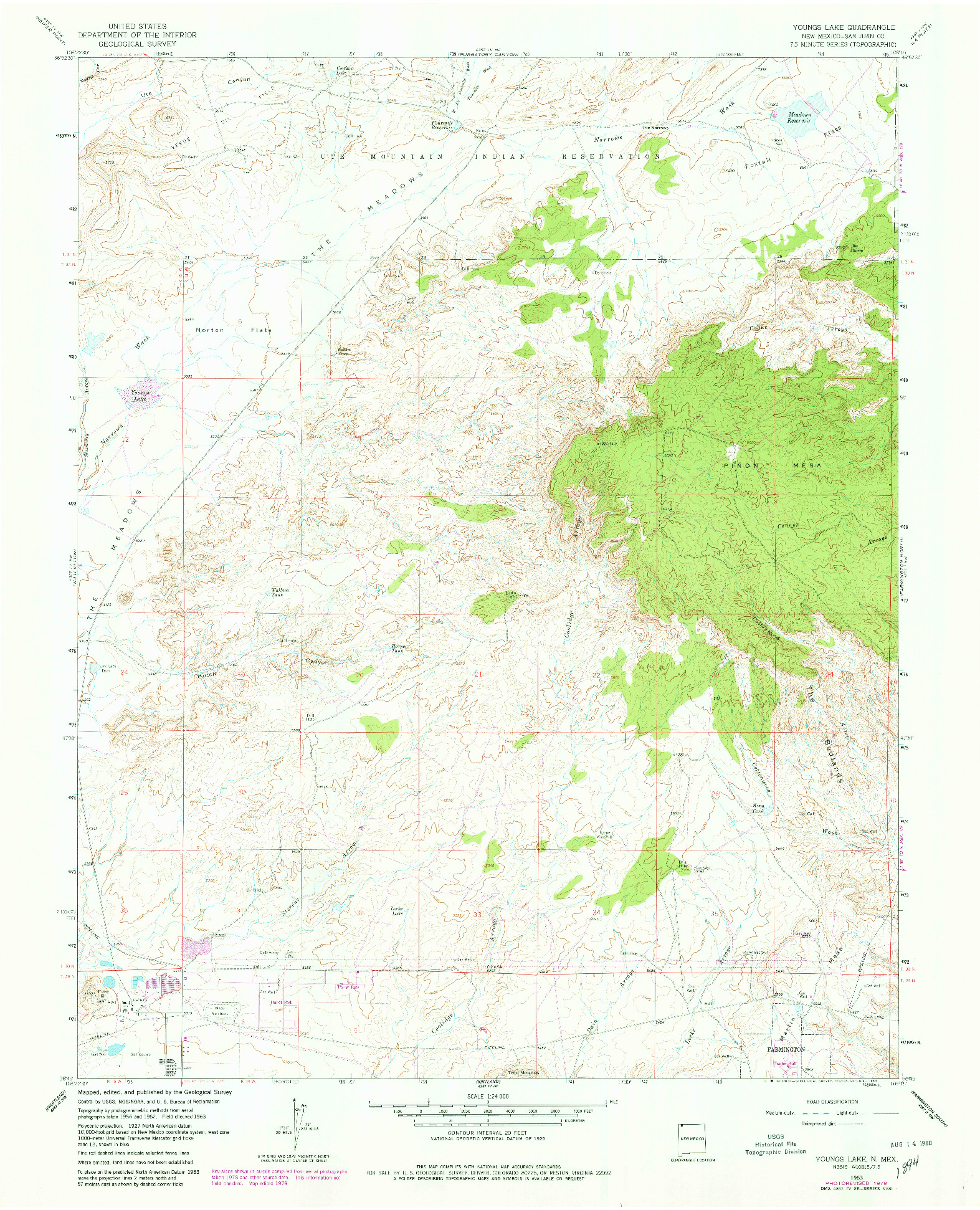 USGS 1:24000-SCALE QUADRANGLE FOR YOUNGS LAKE, NM 1963