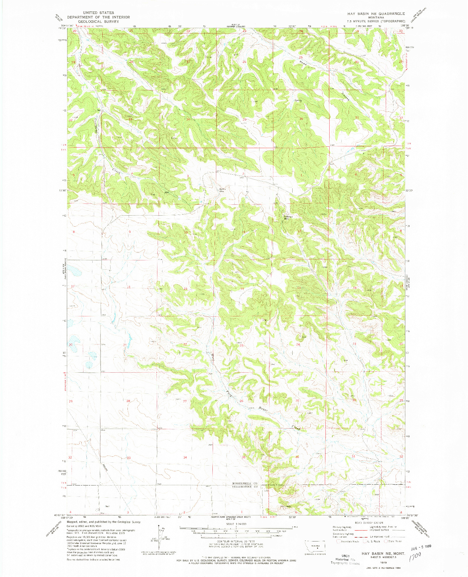 USGS 1:24000-SCALE QUADRANGLE FOR HAY BASIN NE, MT 1979