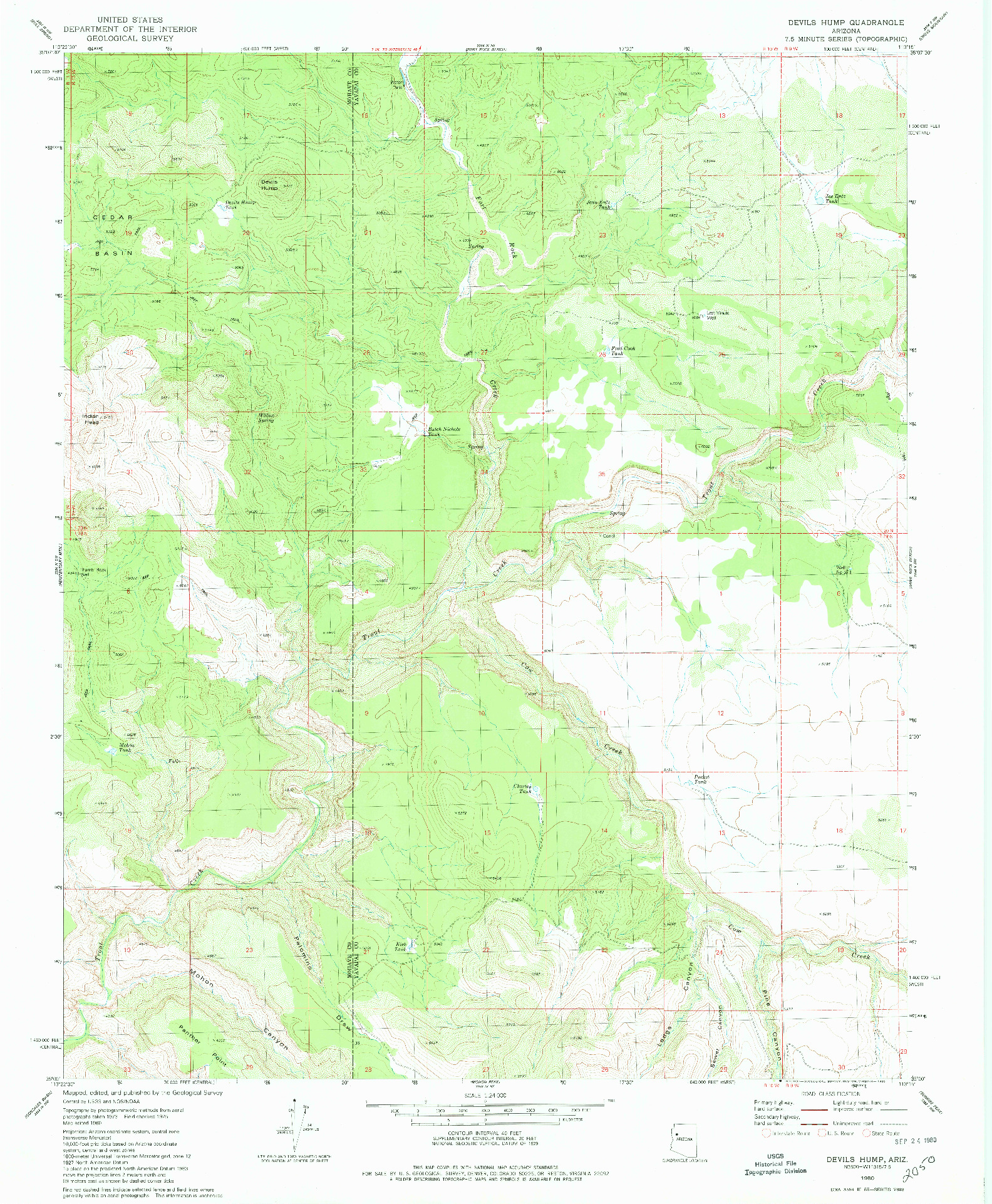USGS 1:24000-SCALE QUADRANGLE FOR DEVILS HUMP, AZ 1980