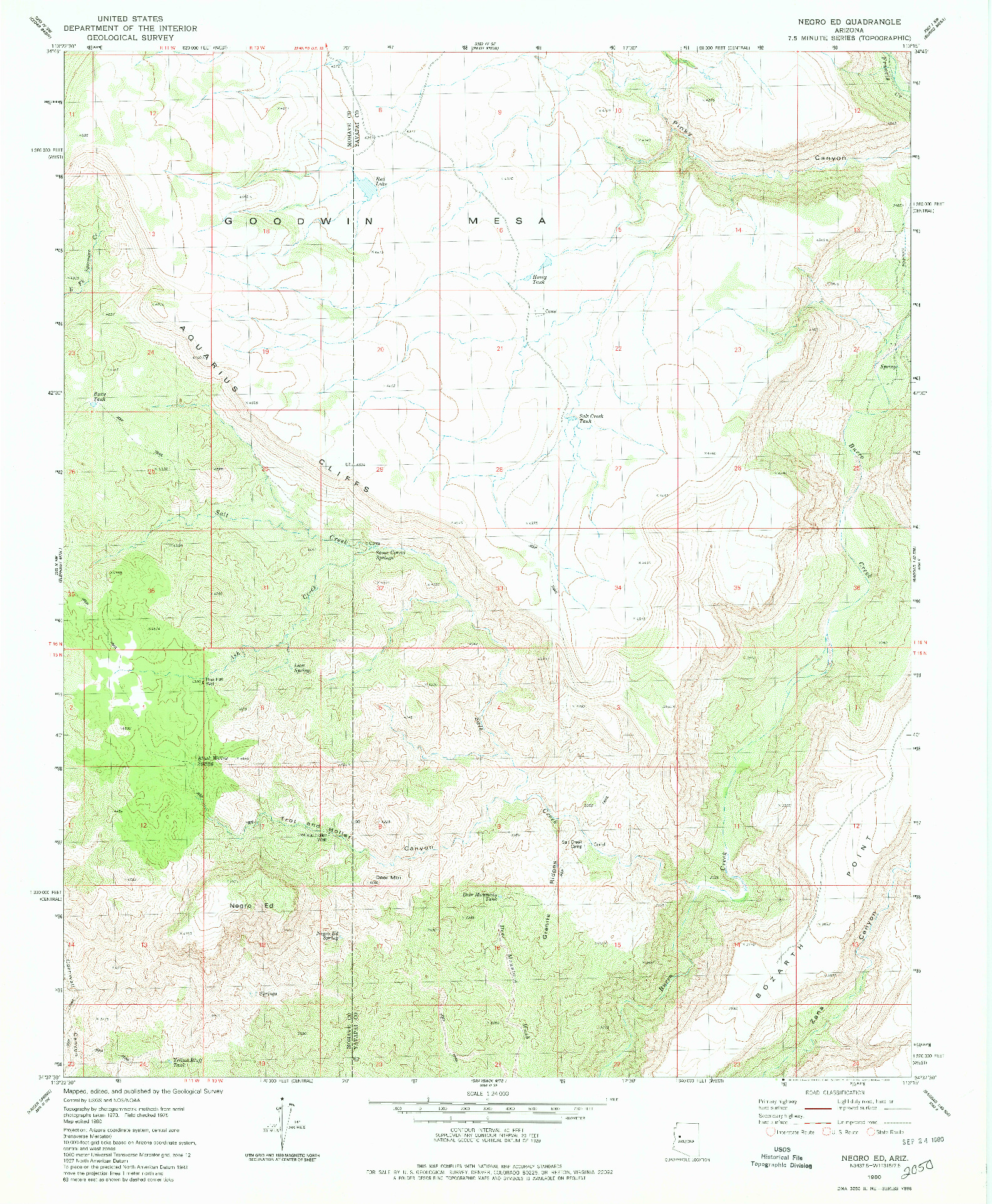 USGS 1:24000-SCALE QUADRANGLE FOR NEGRO ED, AZ 1980