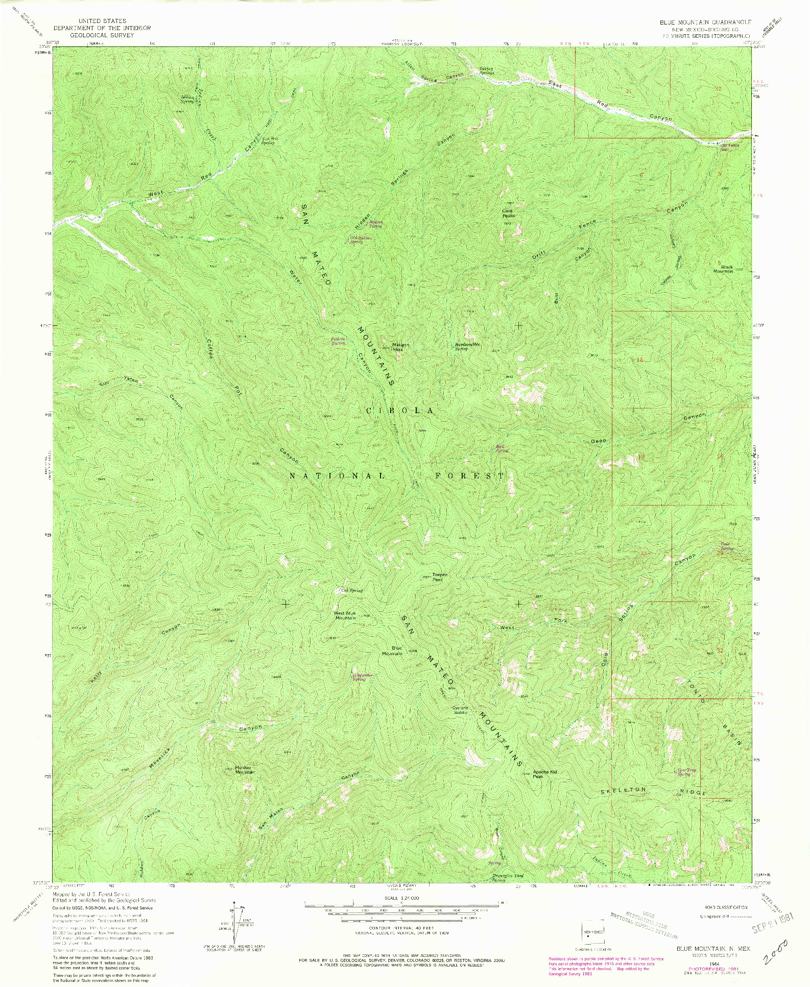USGS 1:24000-SCALE QUADRANGLE FOR BLUE MOUNTAIN, NM 1964