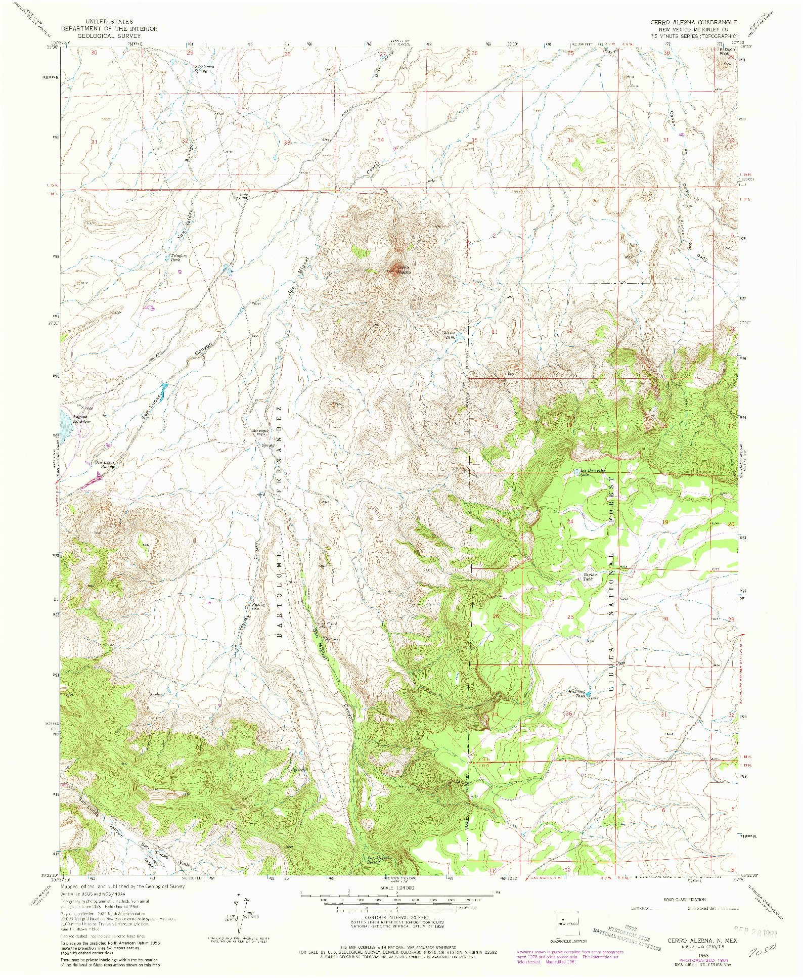 USGS 1:24000-SCALE QUADRANGLE FOR CERRO ALESNA, NM 1963