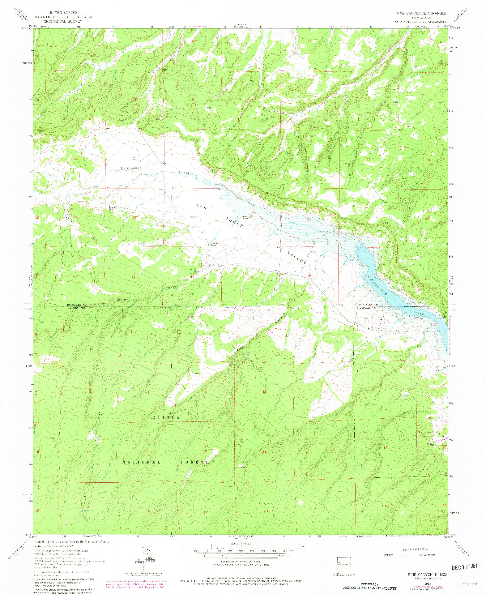 USGS 1:24000-SCALE QUADRANGLE FOR PINE CANYON, NM 1963