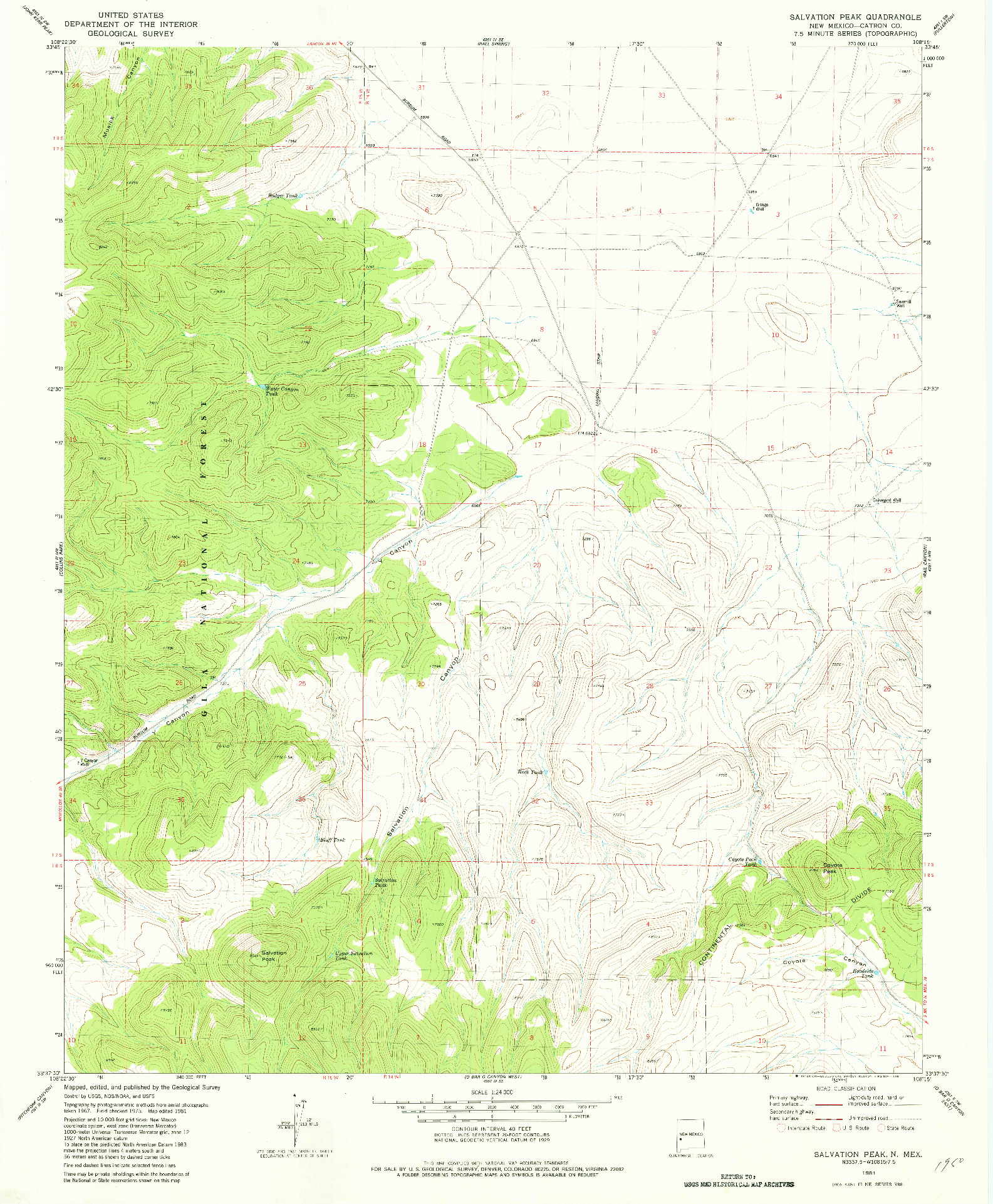 USGS 1:24000-SCALE QUADRANGLE FOR SALVATION PEAK, NM 1981