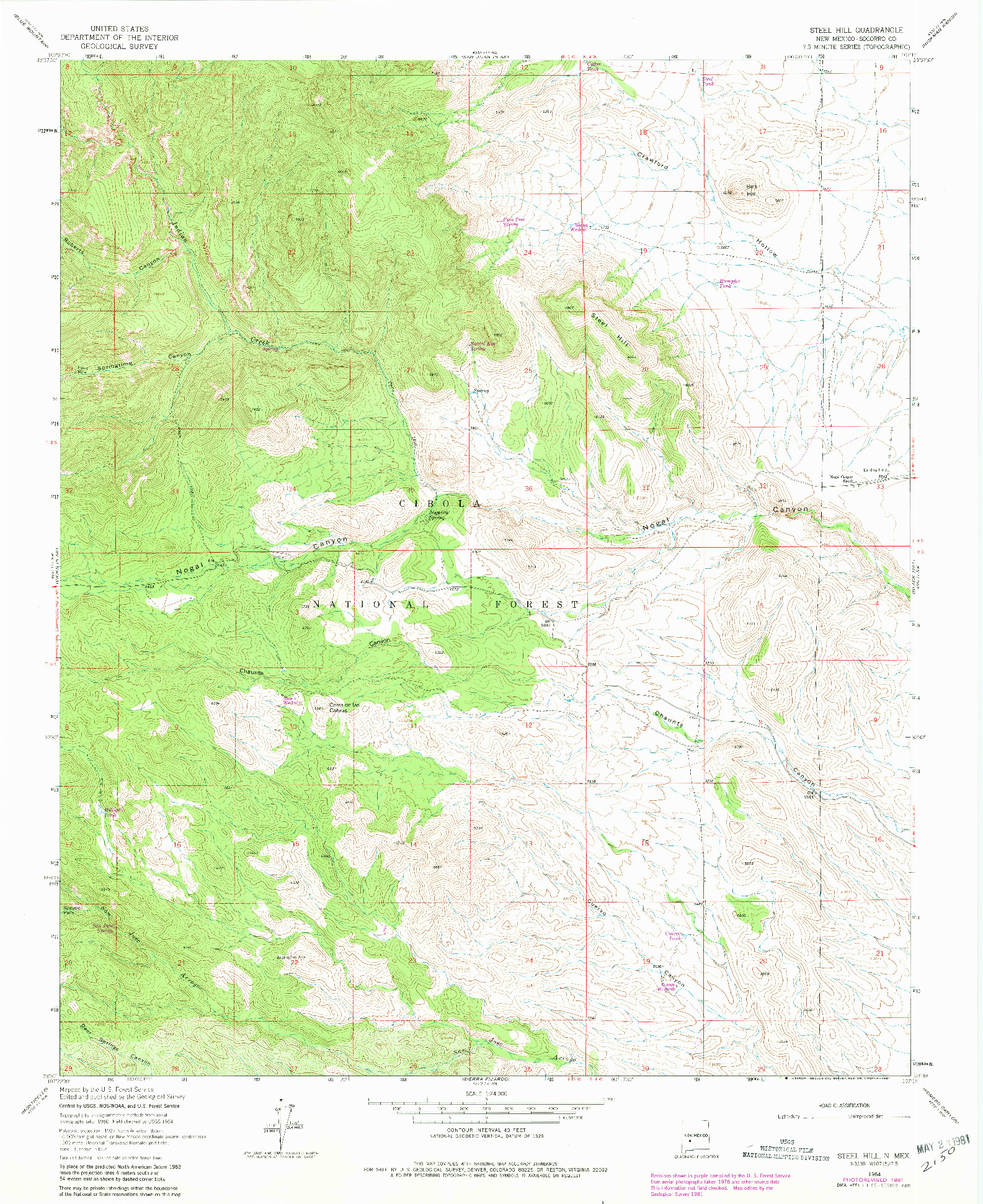 USGS 1:24000-SCALE QUADRANGLE FOR STEEL HILL, NM 1964