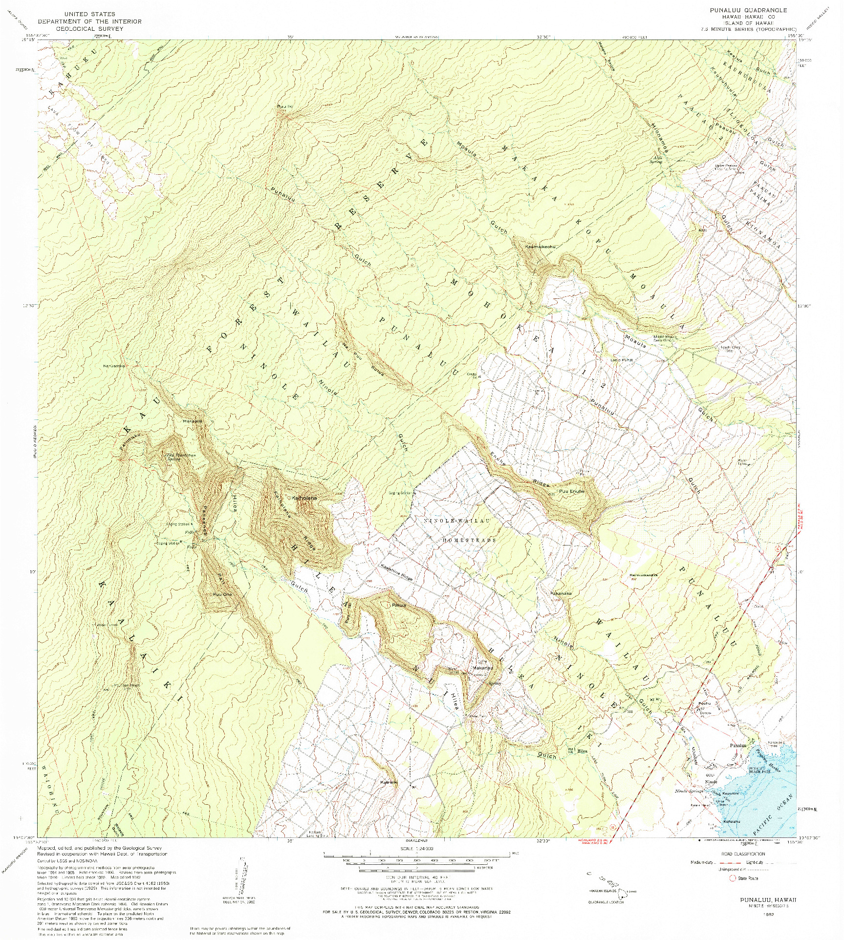 USGS 1:24000-SCALE QUADRANGLE FOR PUNALUU, HI 1982