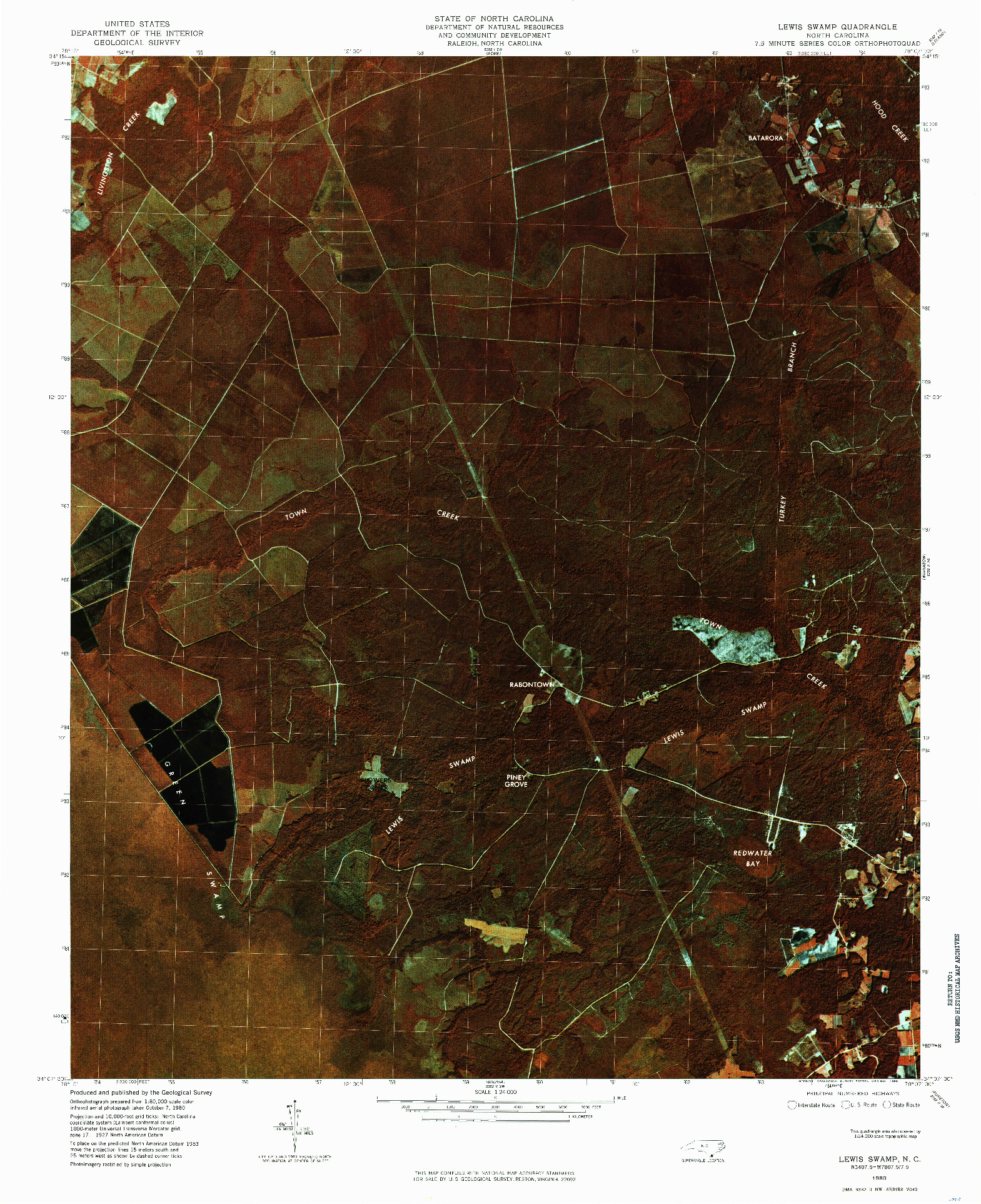 USGS 1:24000-SCALE QUADRANGLE FOR LEWIS SWAMP, NC 1980