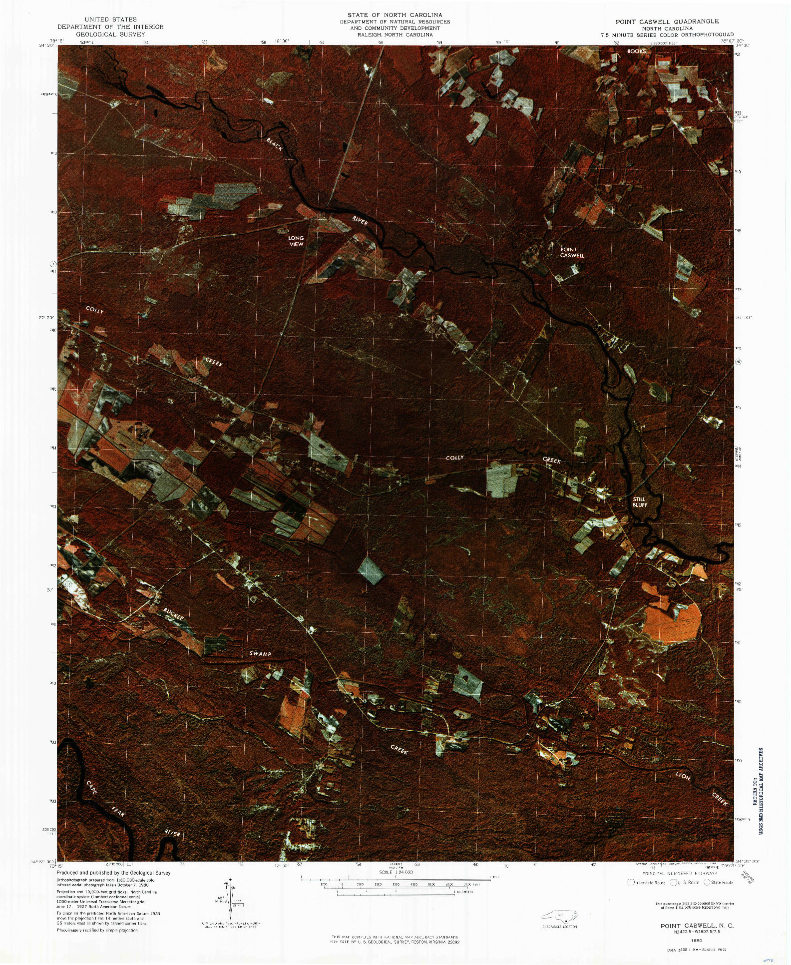 USGS 1:24000-SCALE QUADRANGLE FOR POINT CASWELL, NC 1980