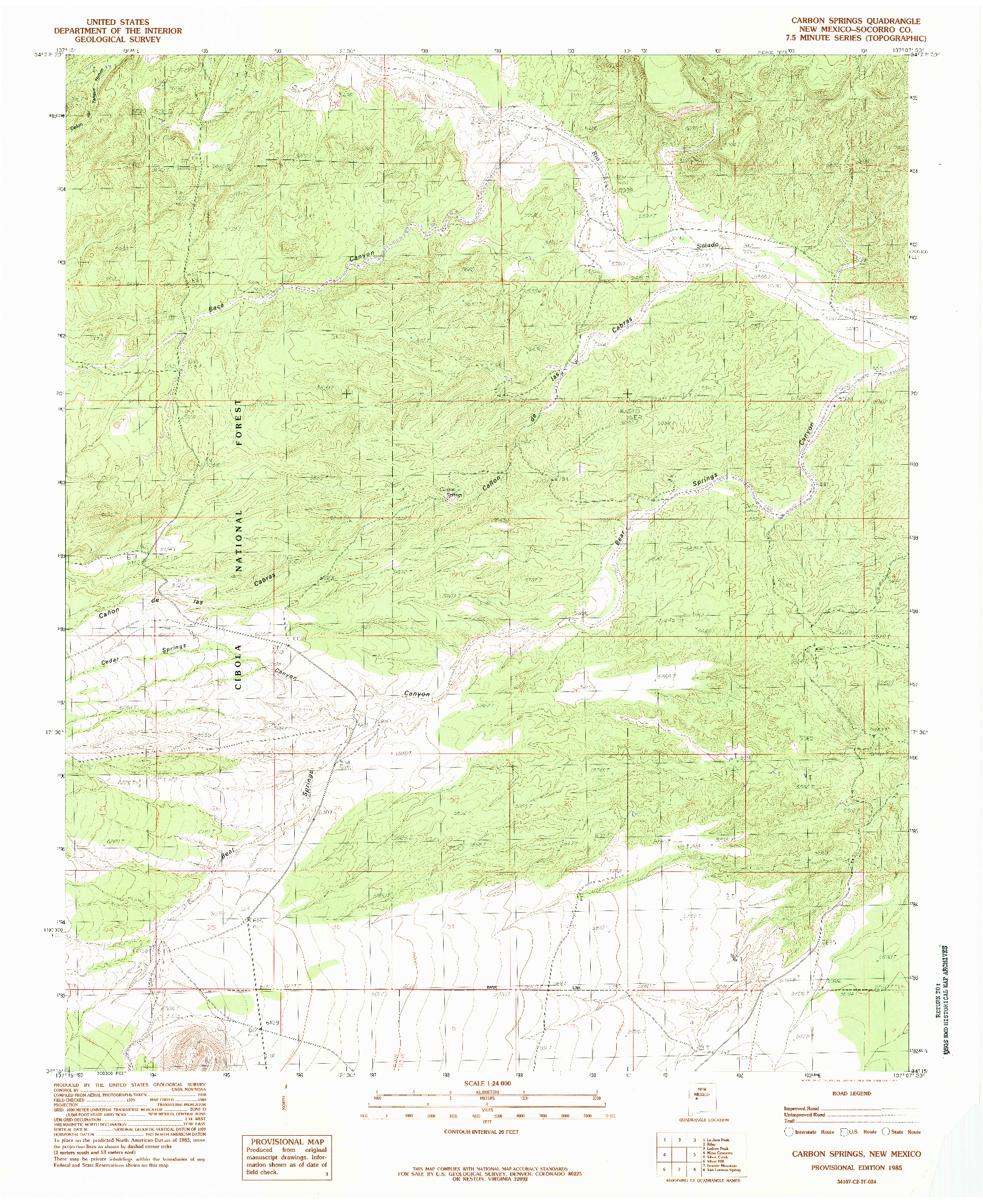 USGS 1:24000-SCALE QUADRANGLE FOR CARBON SPRINGS, NM 1985