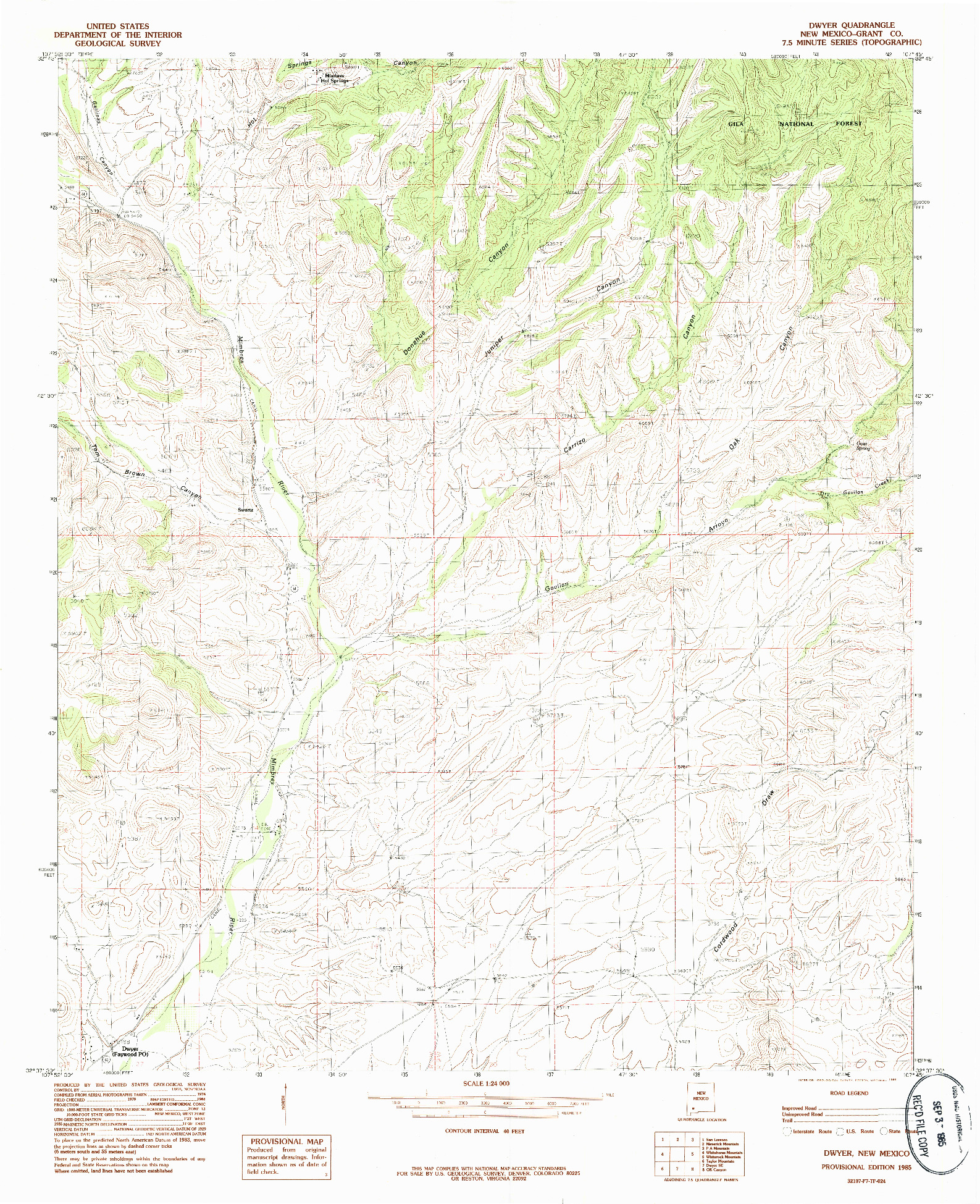 USGS 1:24000-SCALE QUADRANGLE FOR DWYER, NM 1985