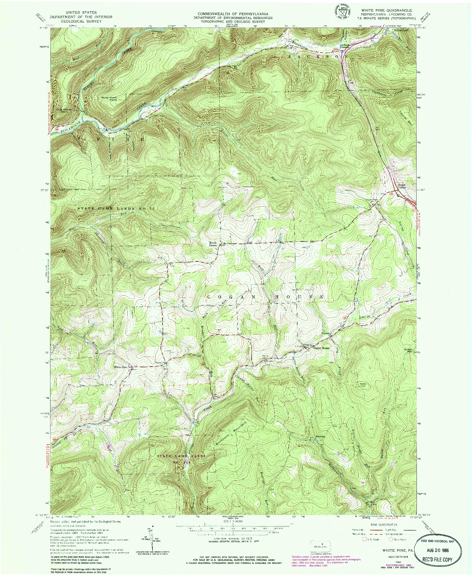 USGS 1:24000-SCALE QUADRANGLE FOR WHITE PINE, PA 1965