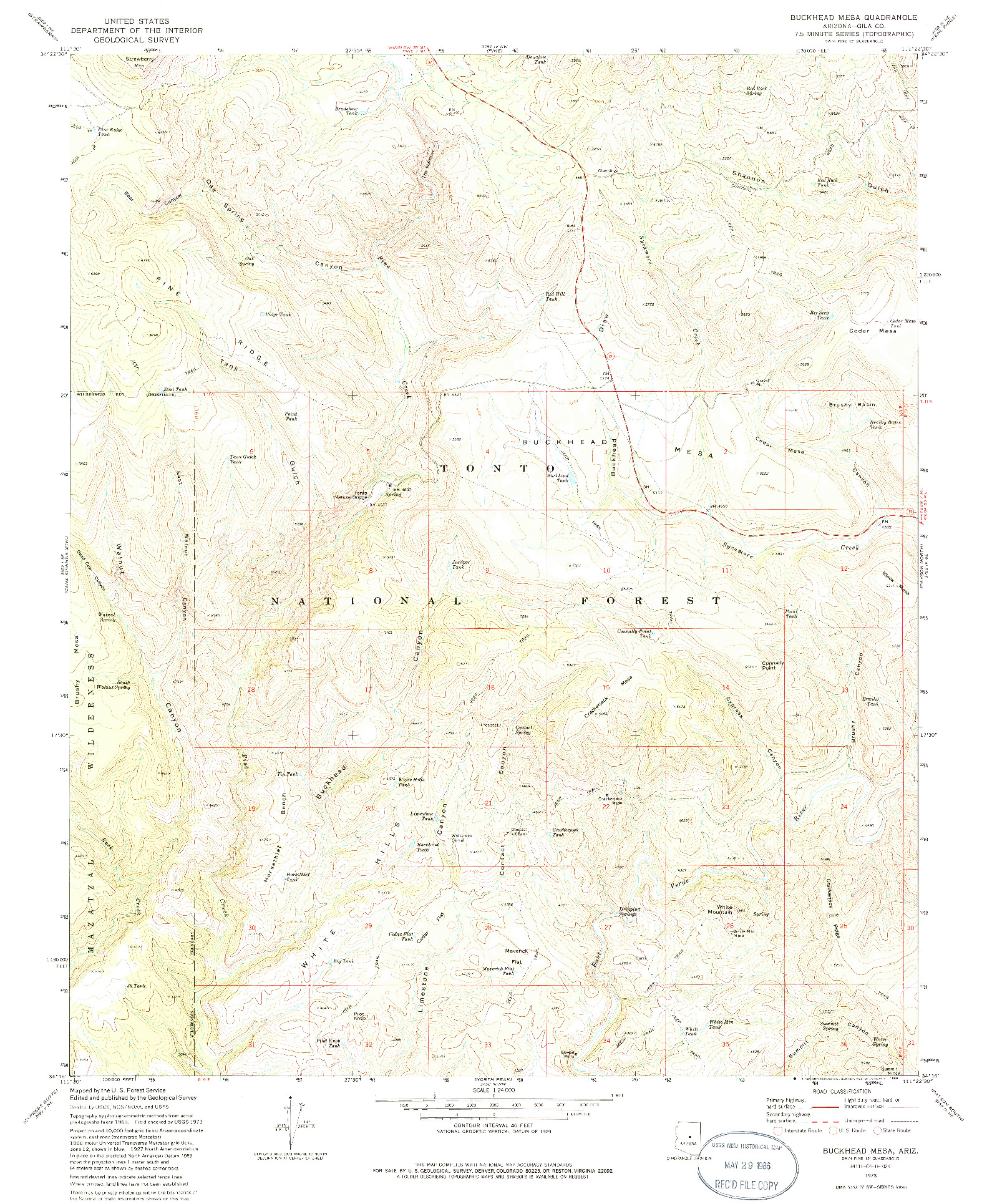 USGS 1:24000-SCALE QUADRANGLE FOR BUCKHEAD MESA, AZ 1973