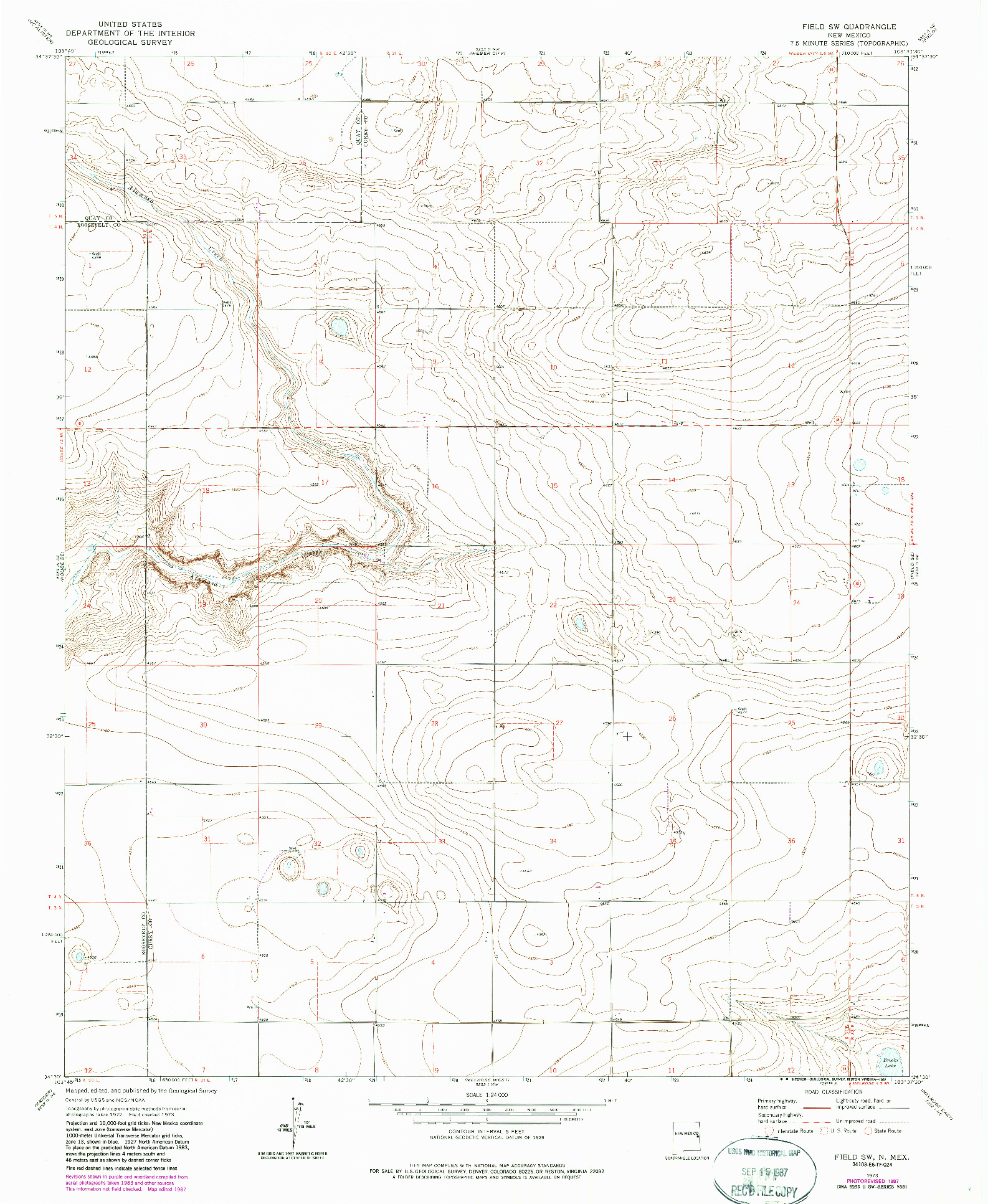USGS 1:24000-SCALE QUADRANGLE FOR FIELD SW, NM 1973