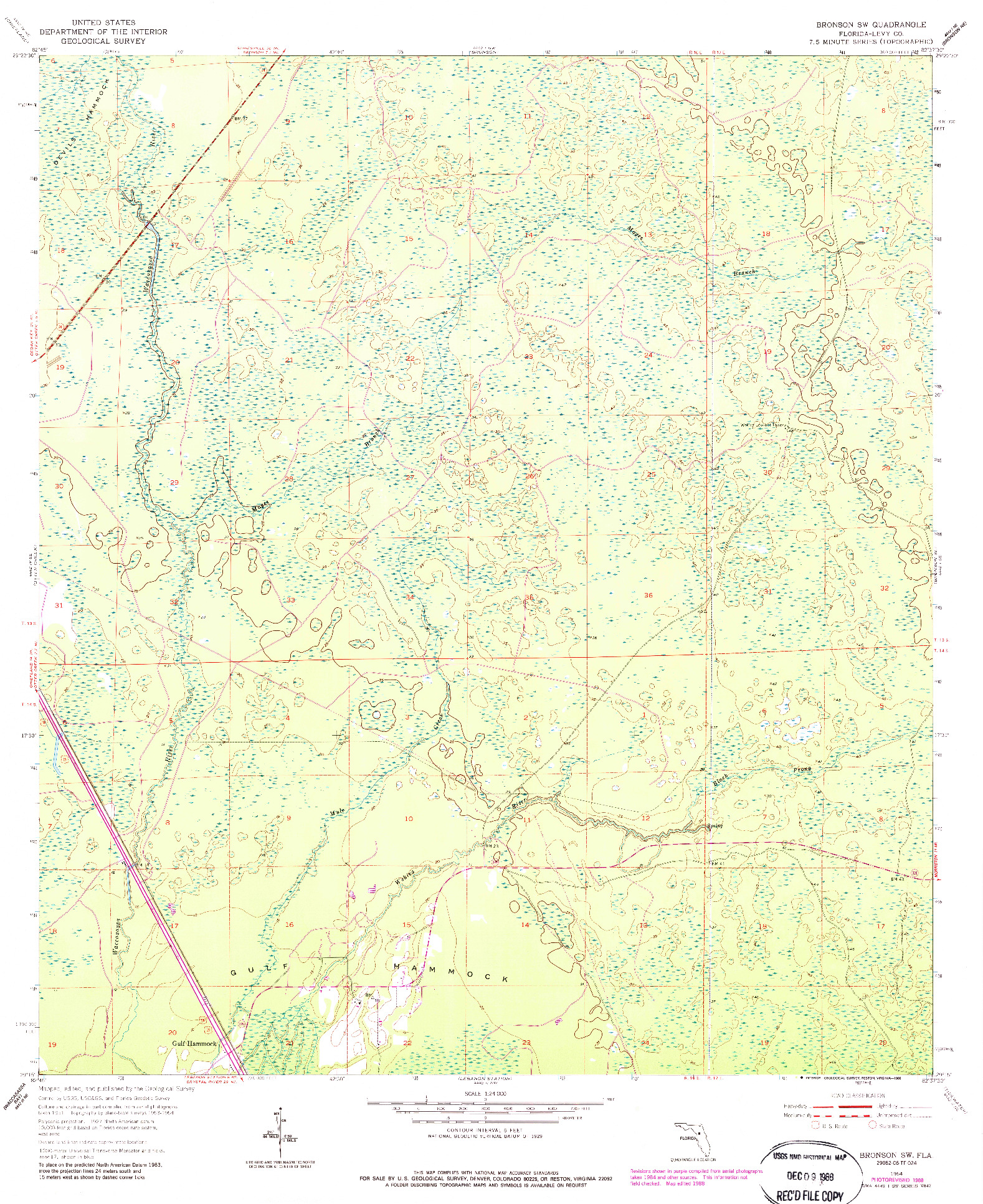 USGS 1:24000-SCALE QUADRANGLE FOR BRONSON SW, FL 1954