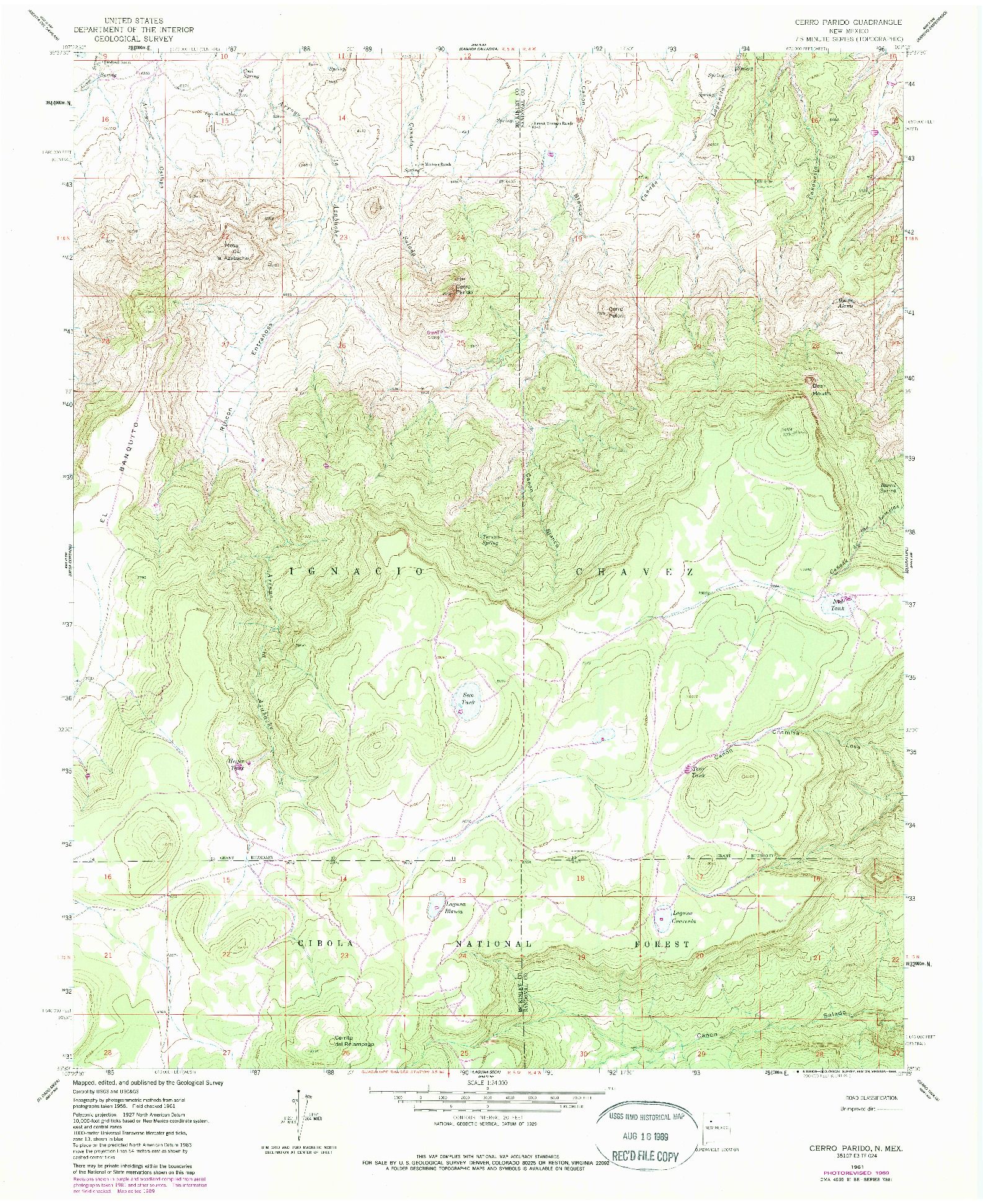 USGS 1:24000-SCALE QUADRANGLE FOR CERRO PARIDO, NM 1961