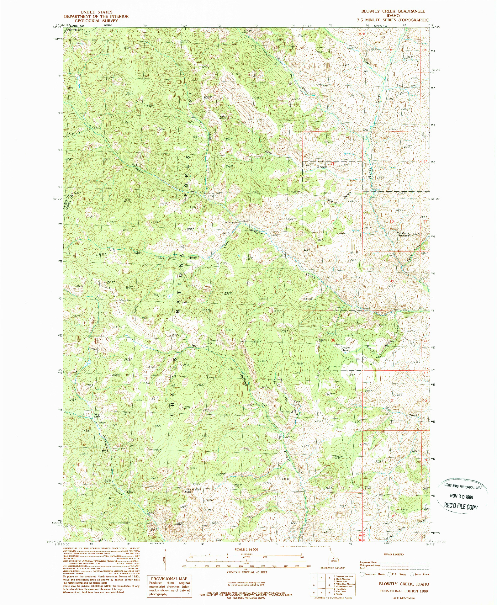 USGS 1:24000-SCALE QUADRANGLE FOR BLOWFLY CREEK, ID 1989