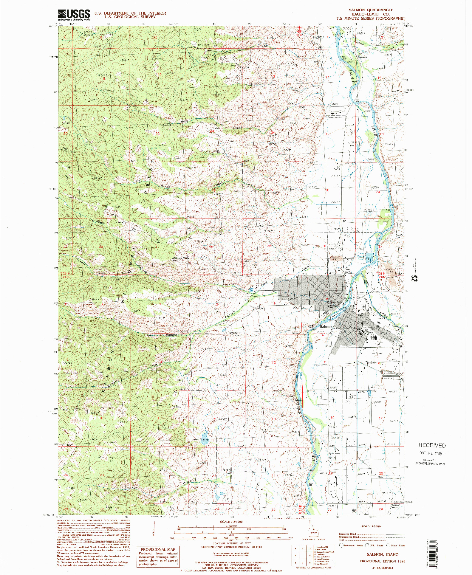 USGS 1:24000-SCALE QUADRANGLE FOR SALMON, ID 1989