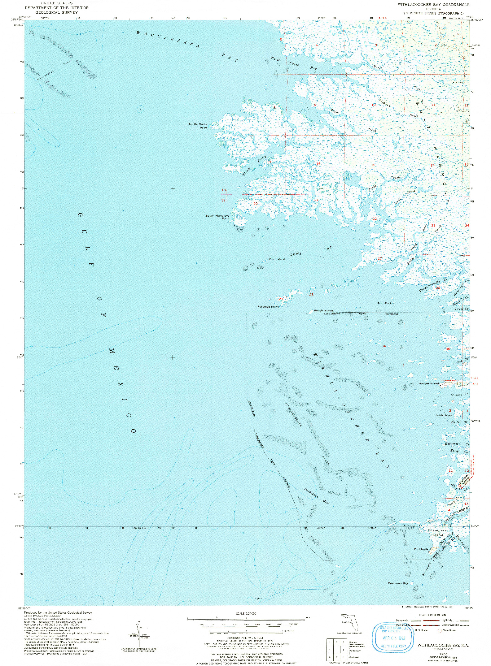 USGS 1:24000-SCALE QUADRANGLE FOR WITHLACOOCHEE BAY, FL 1955