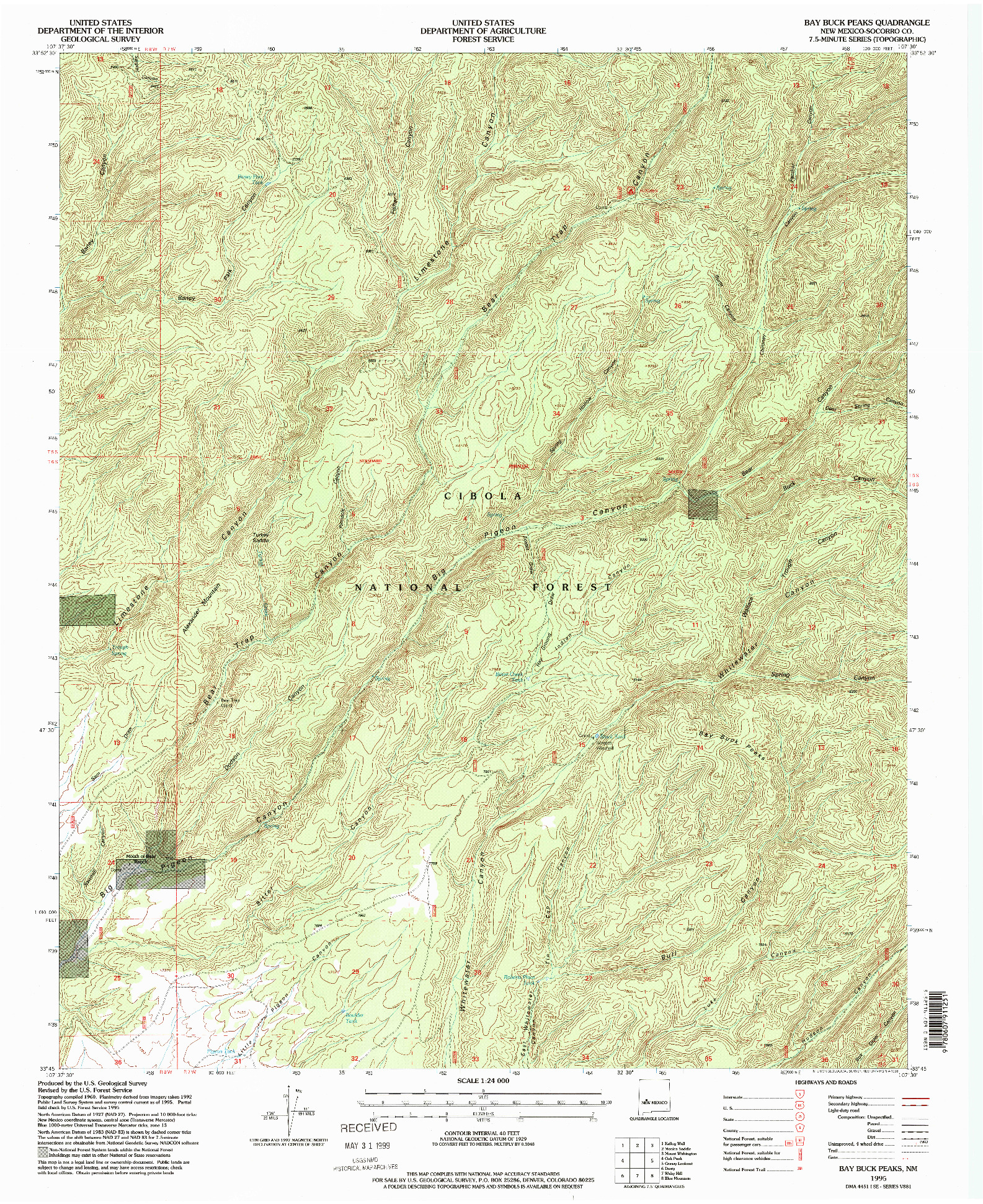 USGS 1:24000-SCALE QUADRANGLE FOR BAY BUCK PEAKS, NM 1995
