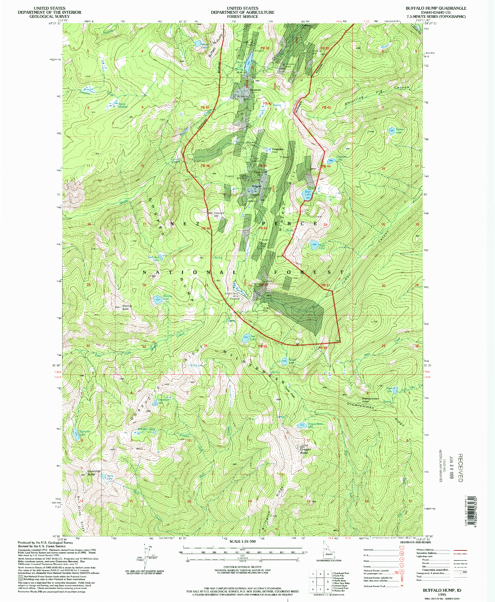 USGS 1:24000-SCALE QUADRANGLE FOR BUFFALO HUMP, ID 1995