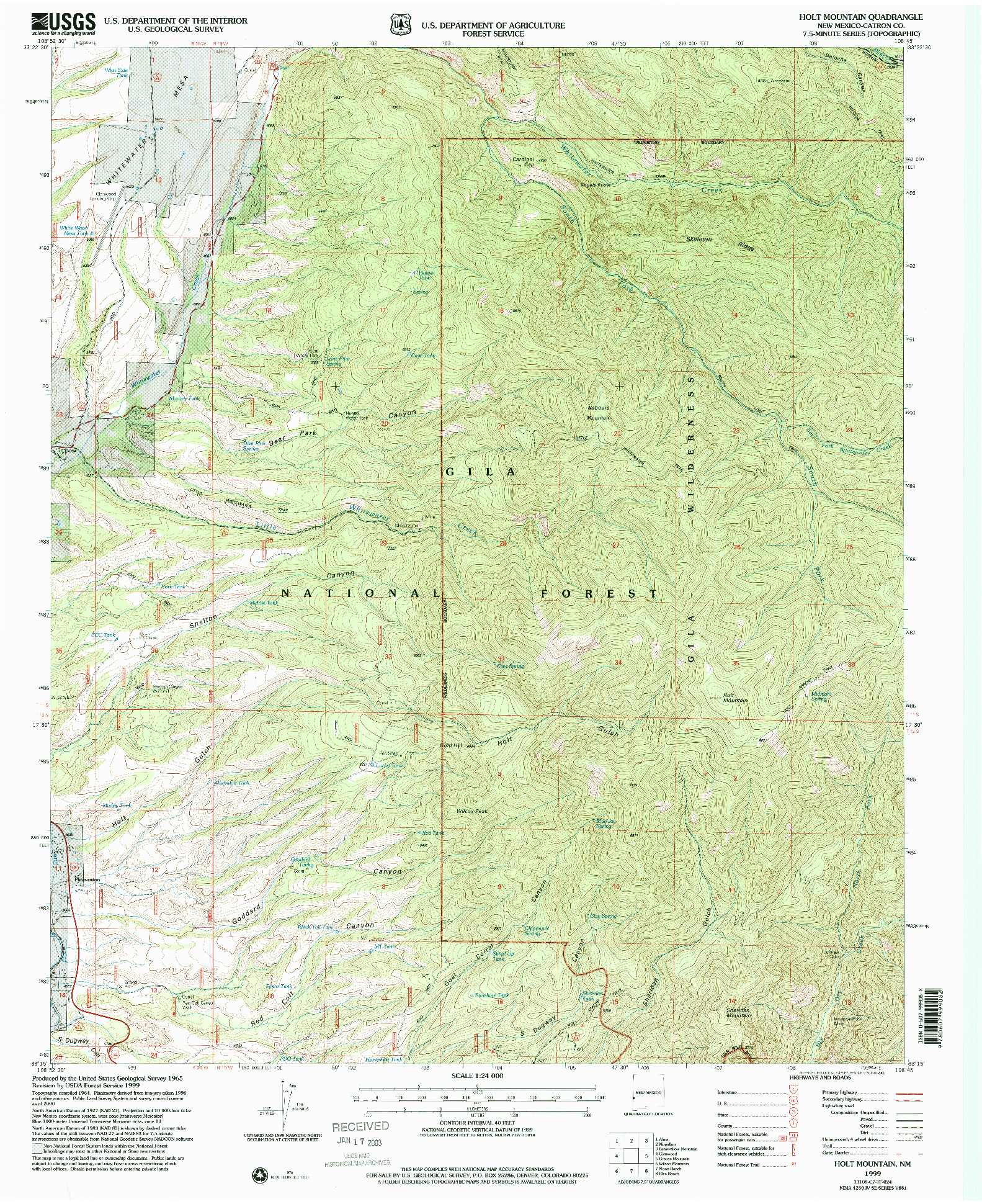 USGS 1:24000-SCALE QUADRANGLE FOR HOLT MOUNTAIN, NM 1999