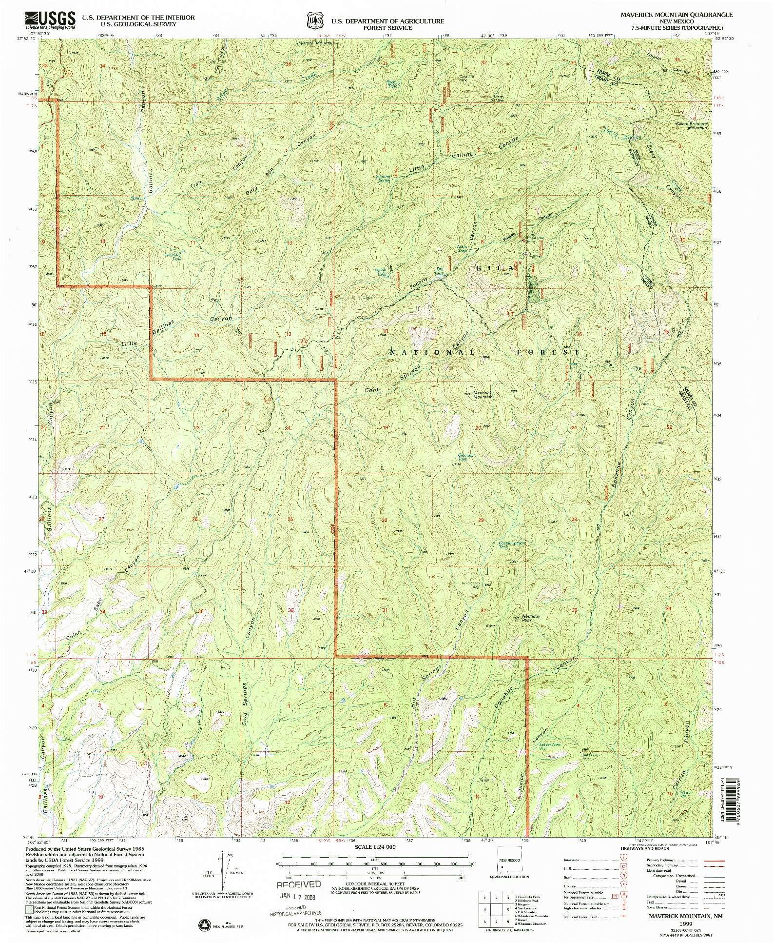 USGS 1:24000-SCALE QUADRANGLE FOR MAVERICK MOUNTAIN, NM 1999