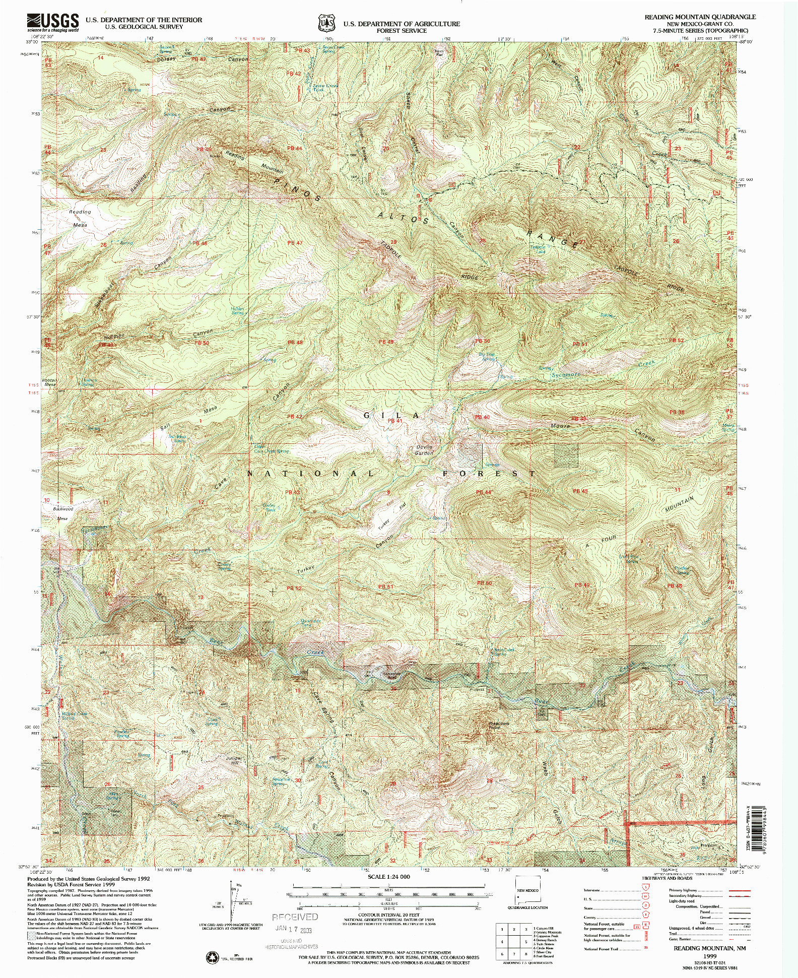 USGS 1:24000-SCALE QUADRANGLE FOR READING MOUNTAIN, NM 1999