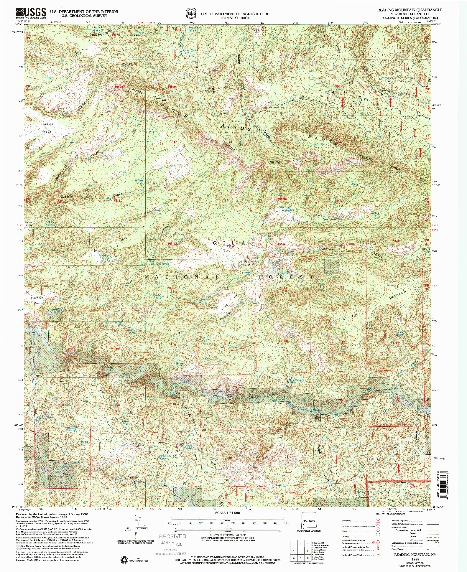 USGS 1:24000-SCALE QUADRANGLE FOR READING MOUNTAIN, NM 1999