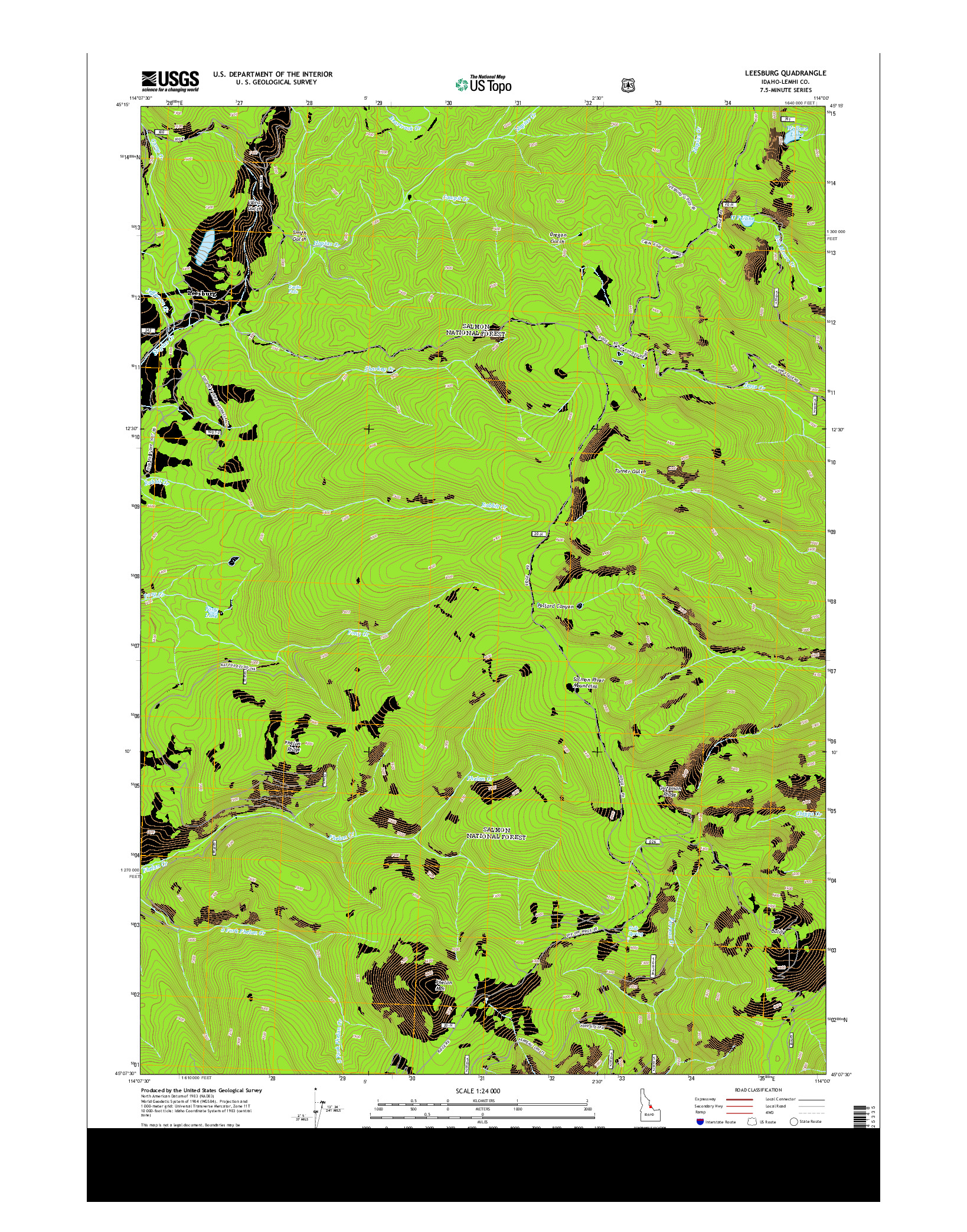 USGS US TOPO 7.5-MINUTE MAP FOR LEESBURG, ID 2013