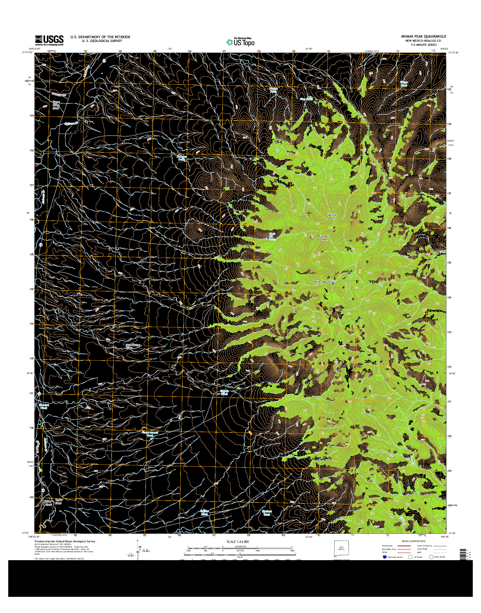 USGS US TOPO 7.5-MINUTE MAP FOR ANIMAS PEAK, NM 2013