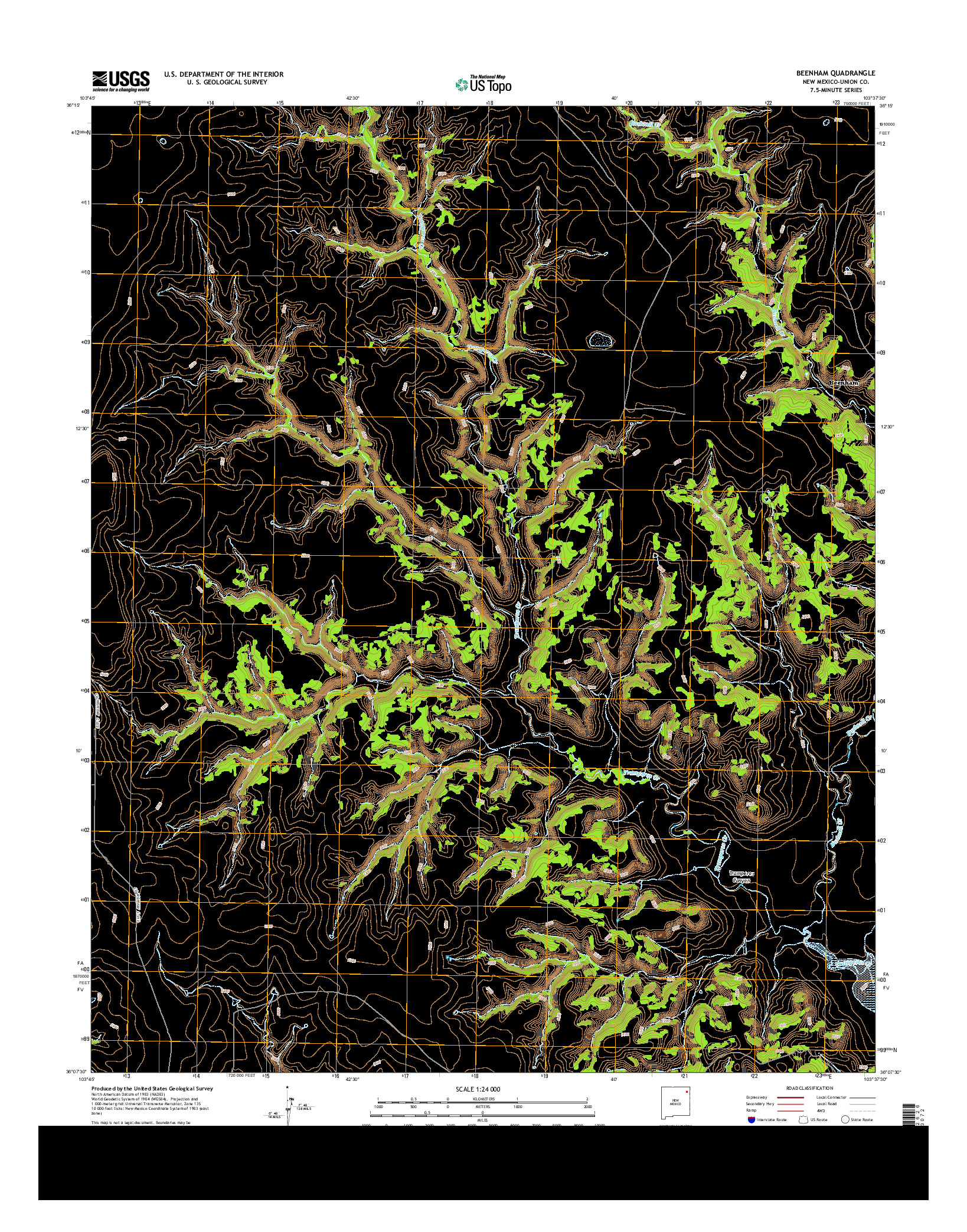 USGS US TOPO 7.5-MINUTE MAP FOR BEENHAM, NM 2013